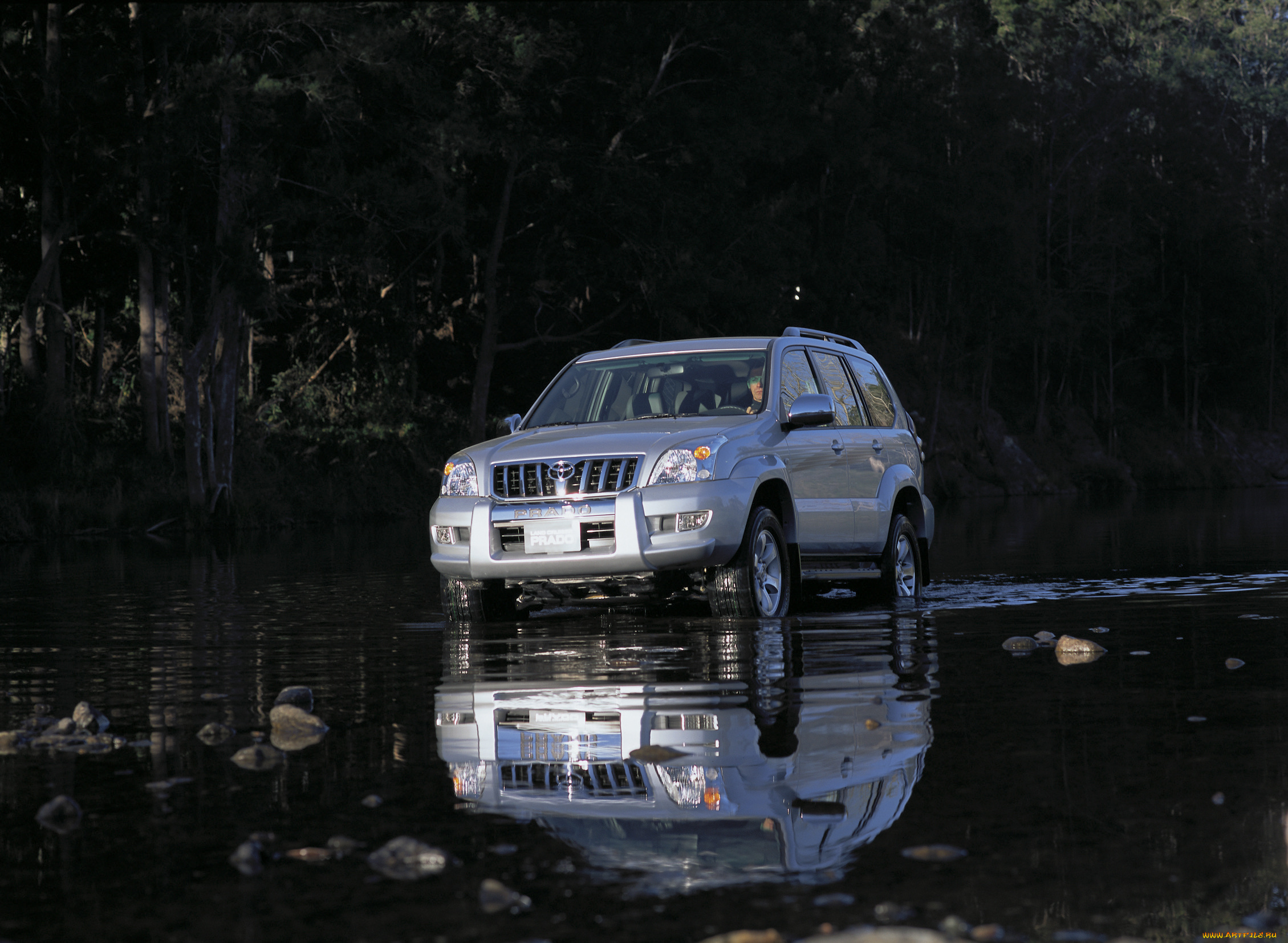 автомобили, toyota