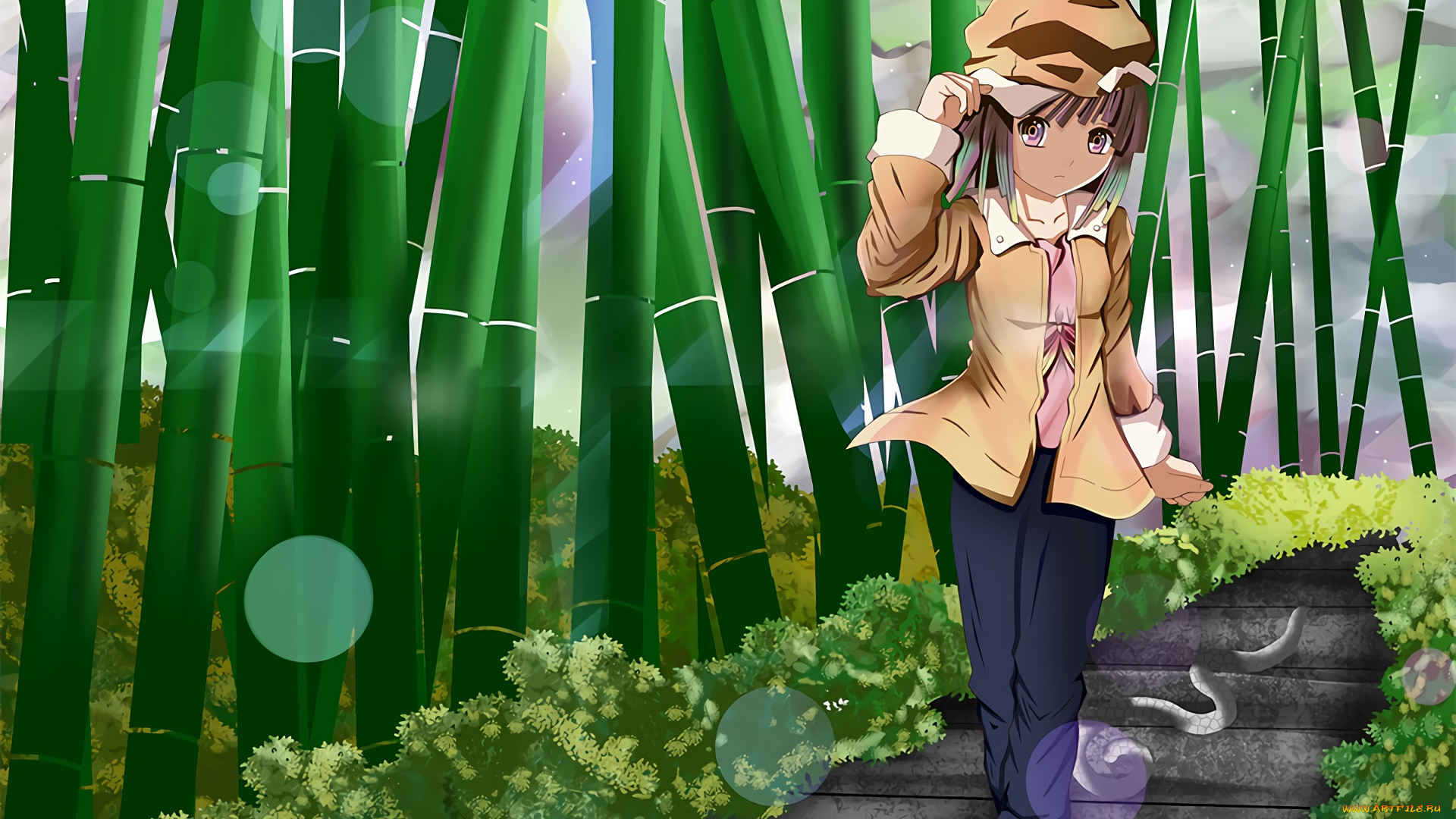 аниме, bakemonogatari, фон, взгляд, девушка