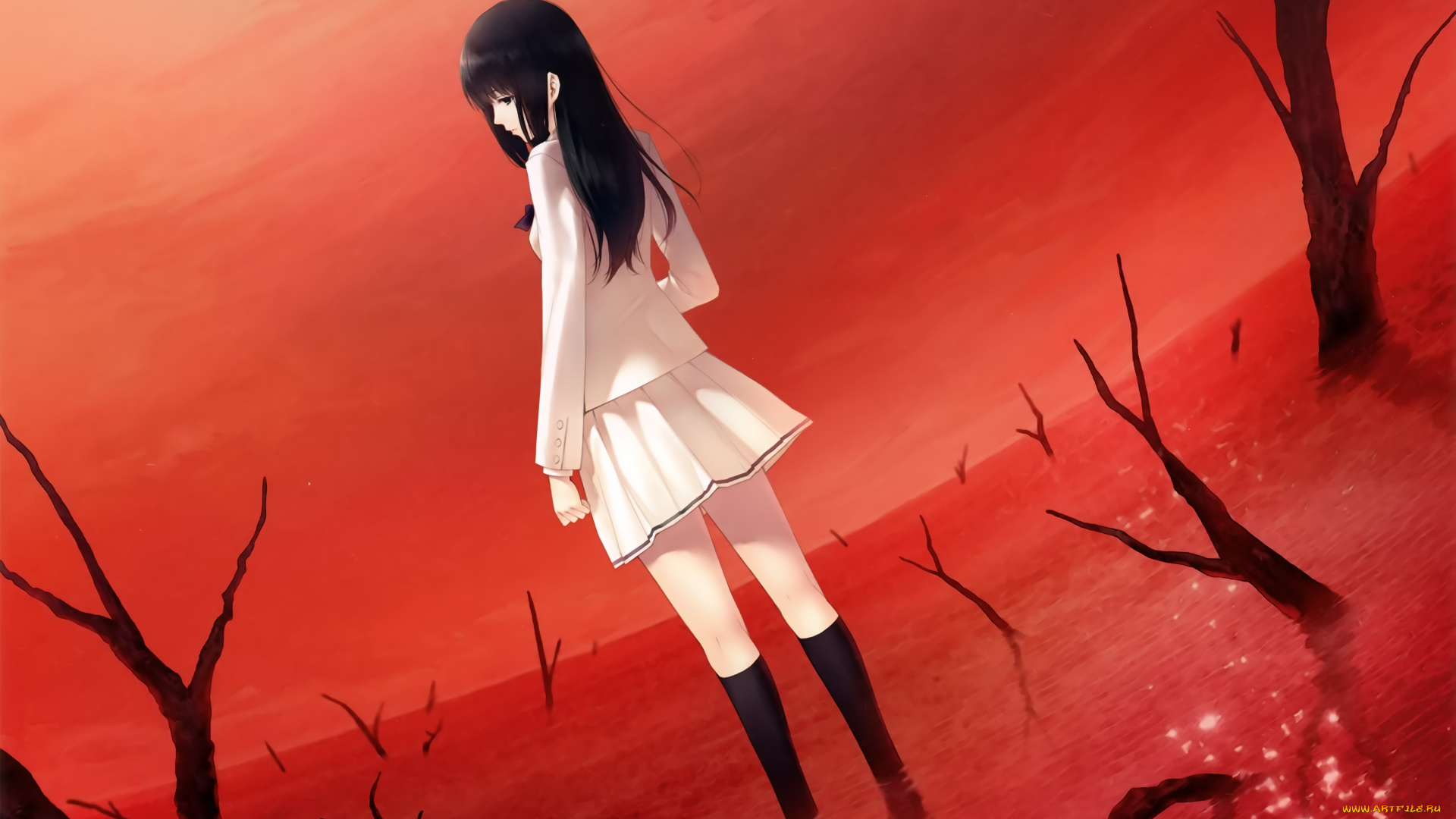 аниме, kara, no, shoujo, kara, no, shoujo