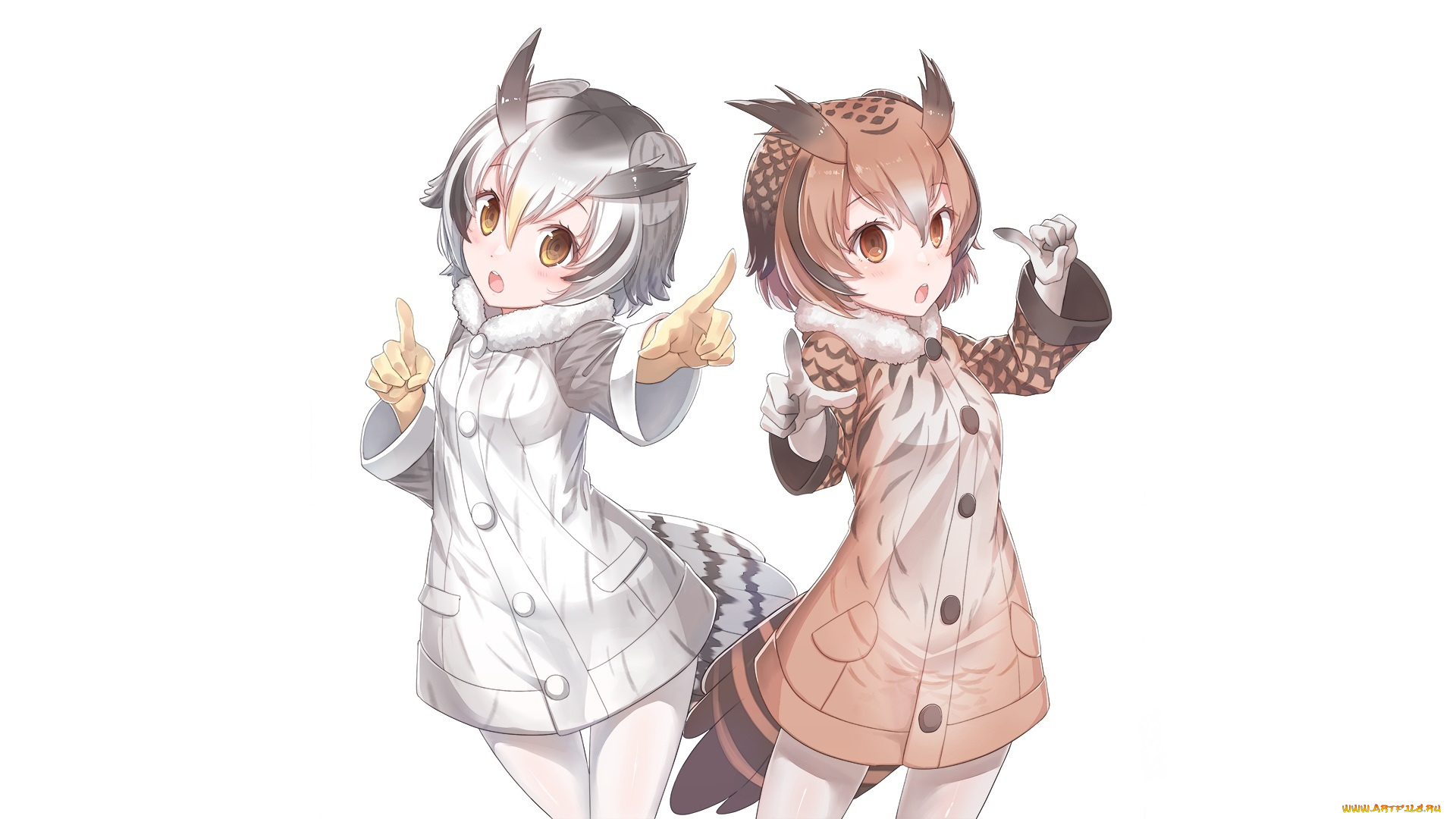 аниме, kemono, friends, kemono, friends