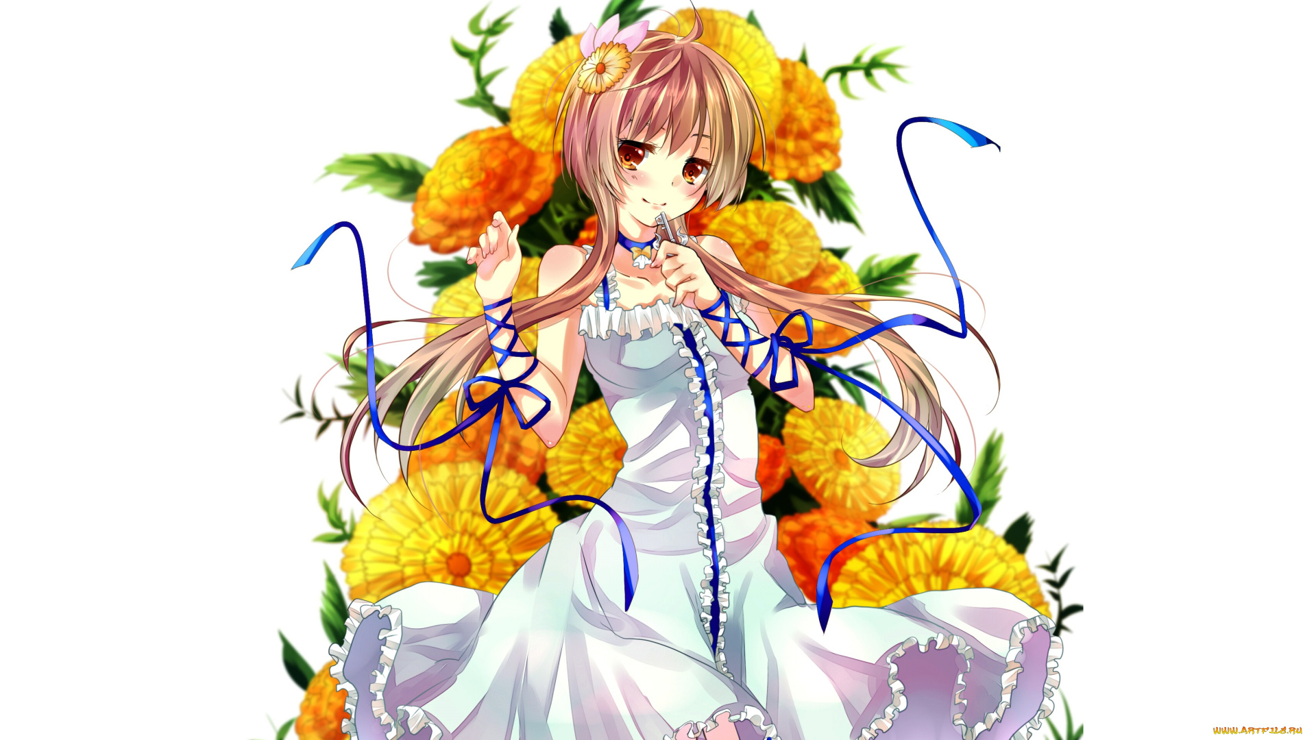 аниме, nisekoi, девушка