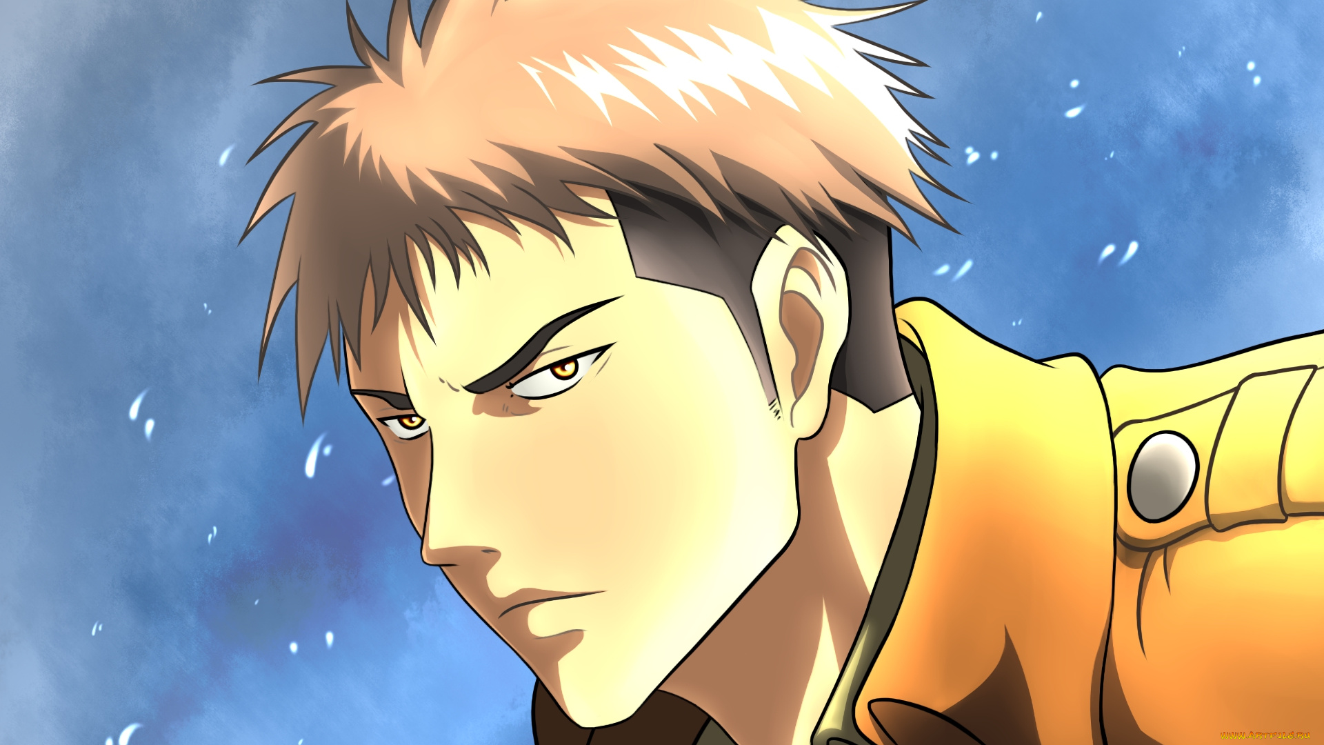 аниме, shingeki, no, kyojin, фон, взгляд, парень