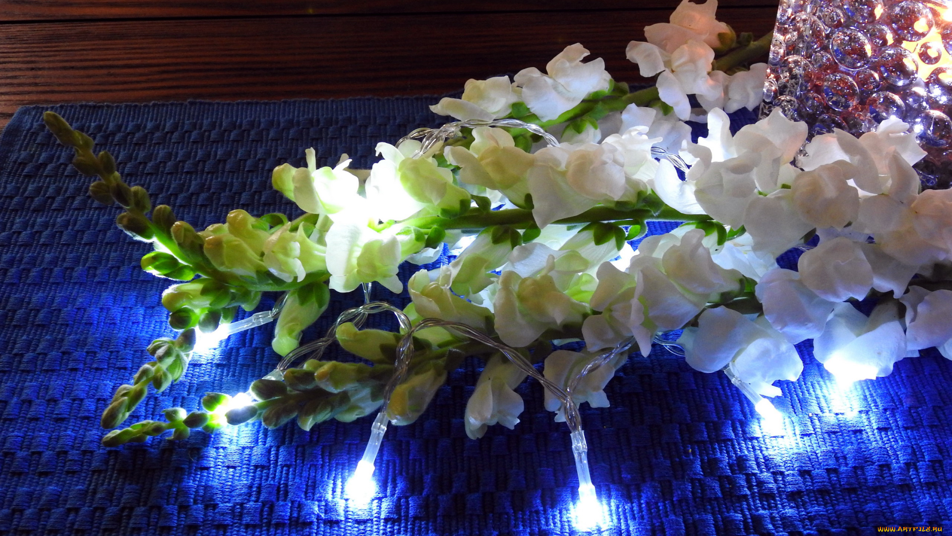 цветы, львиный, зев, композиция