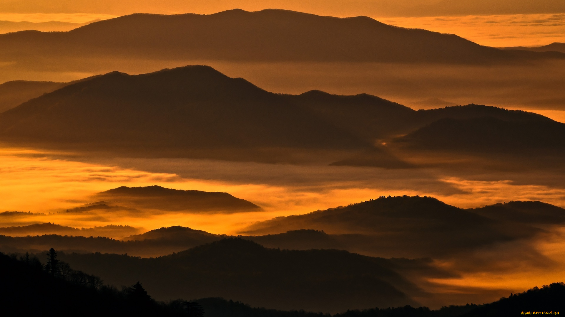 полуостров, гамова, , приморский, край, природа, горы, закат, туман, лес