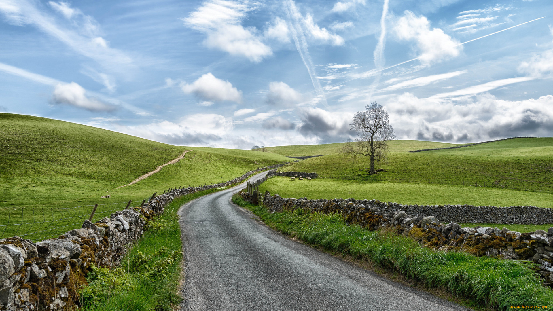 природа, дороги, тракт