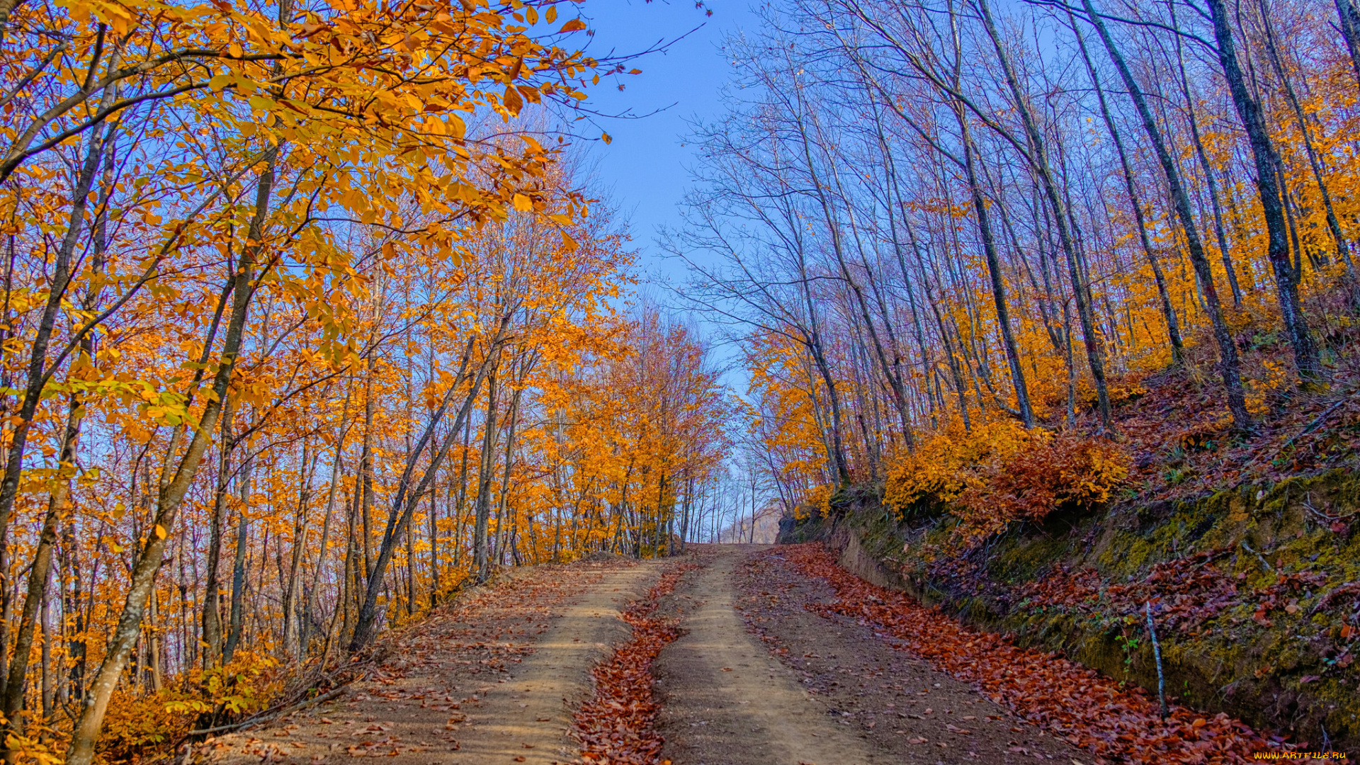 природа, дороги, тракт