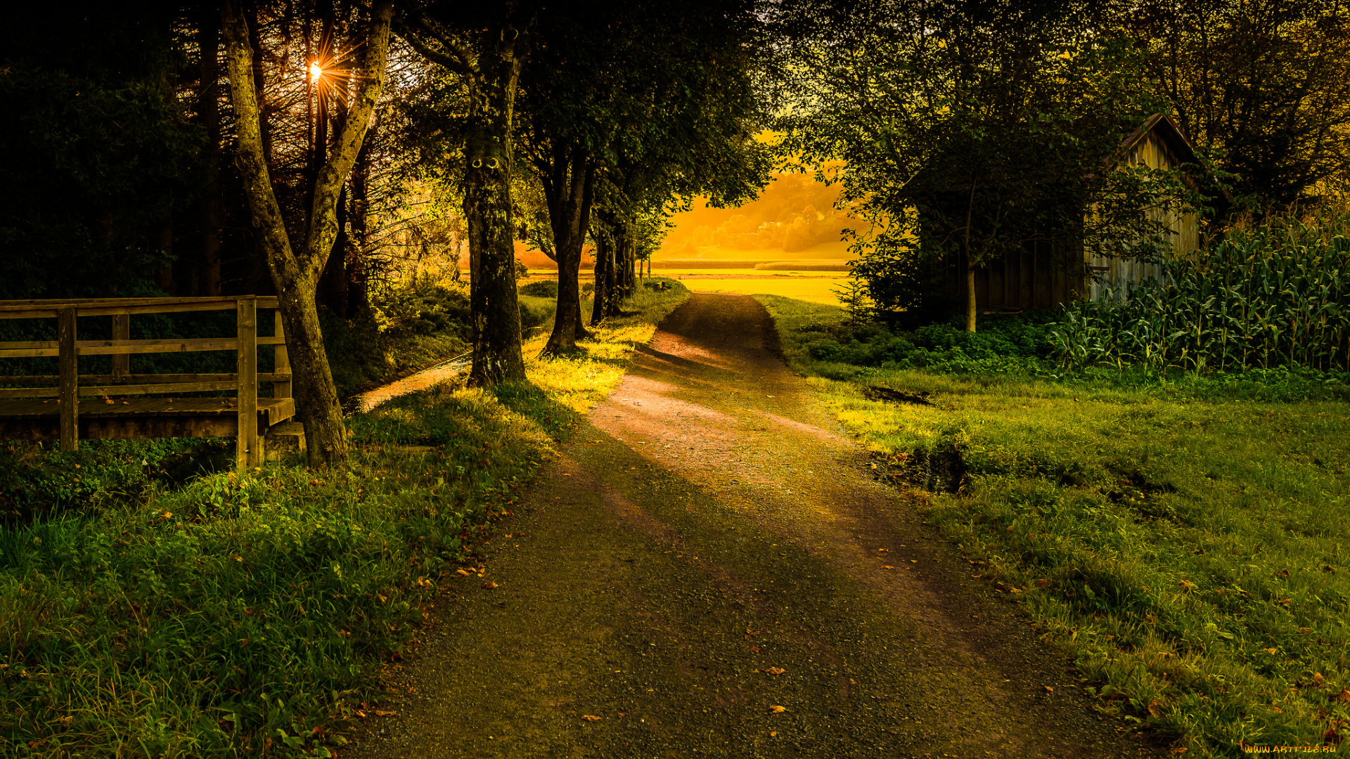 природа, дороги, тракт