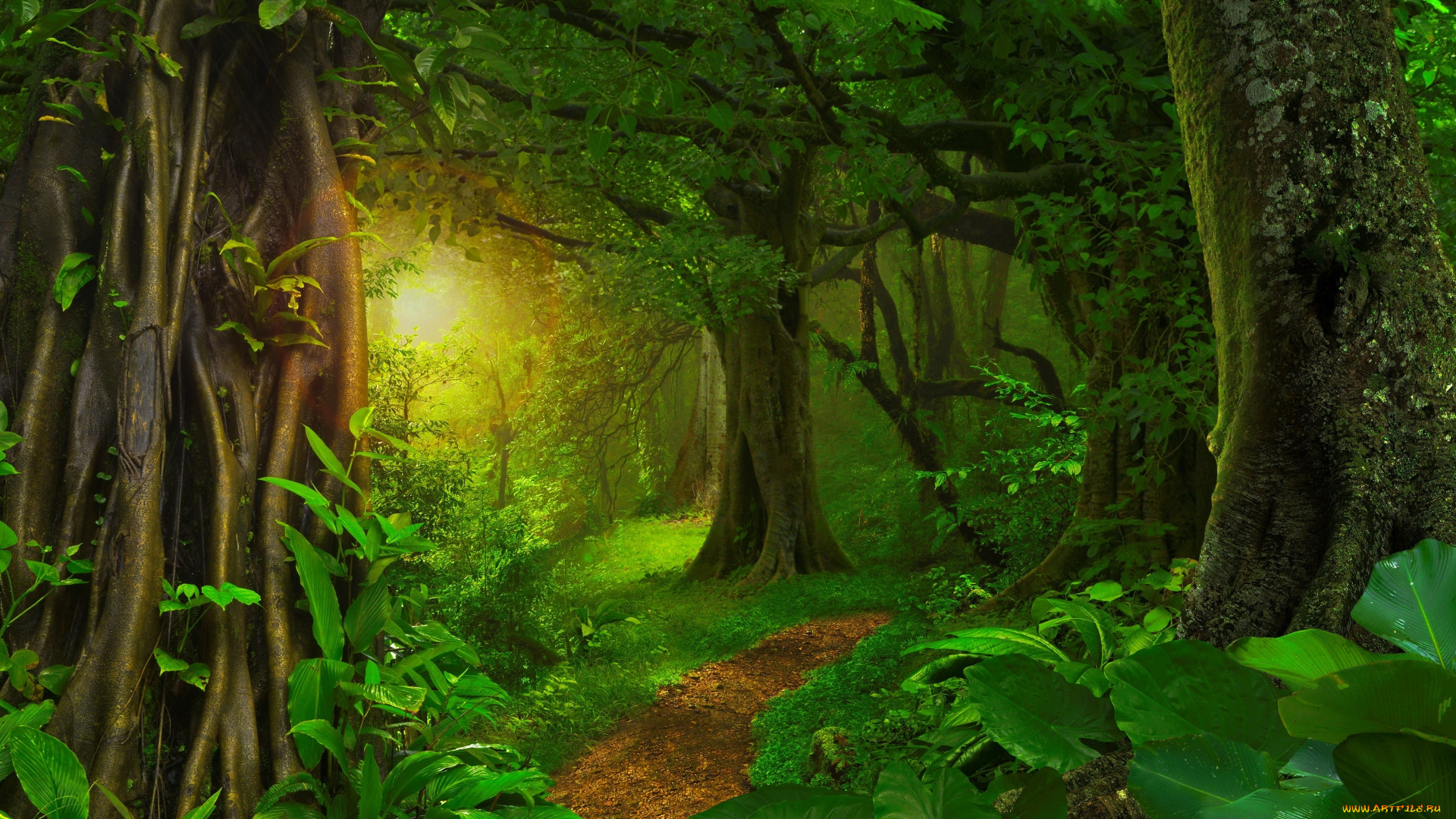 природа, лес