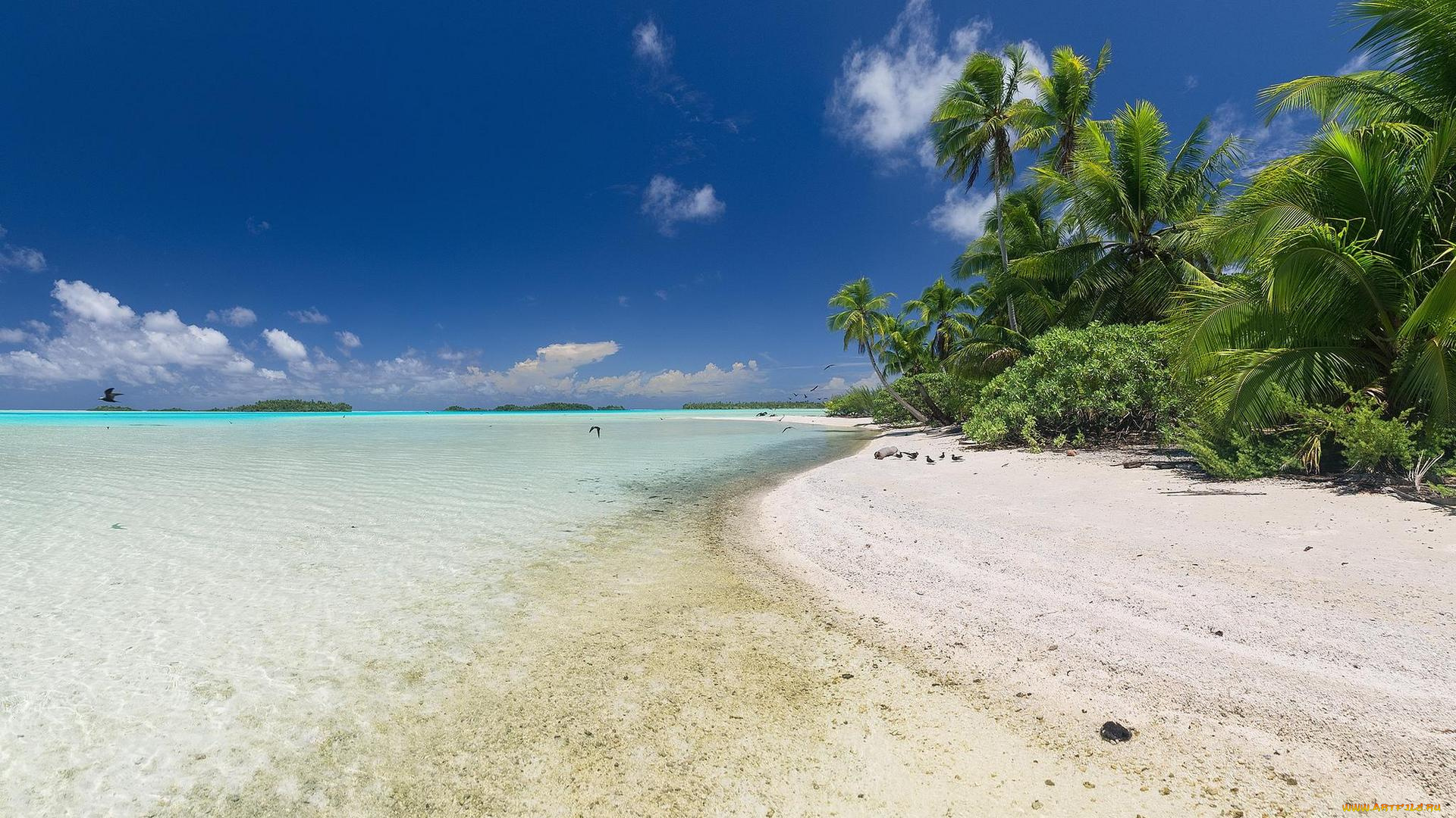 природа, побережье, сейшельские, острова, камни, море, берег, остров