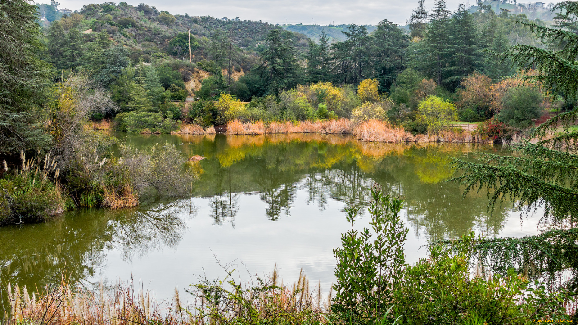 природа, реки, озера, лес, река