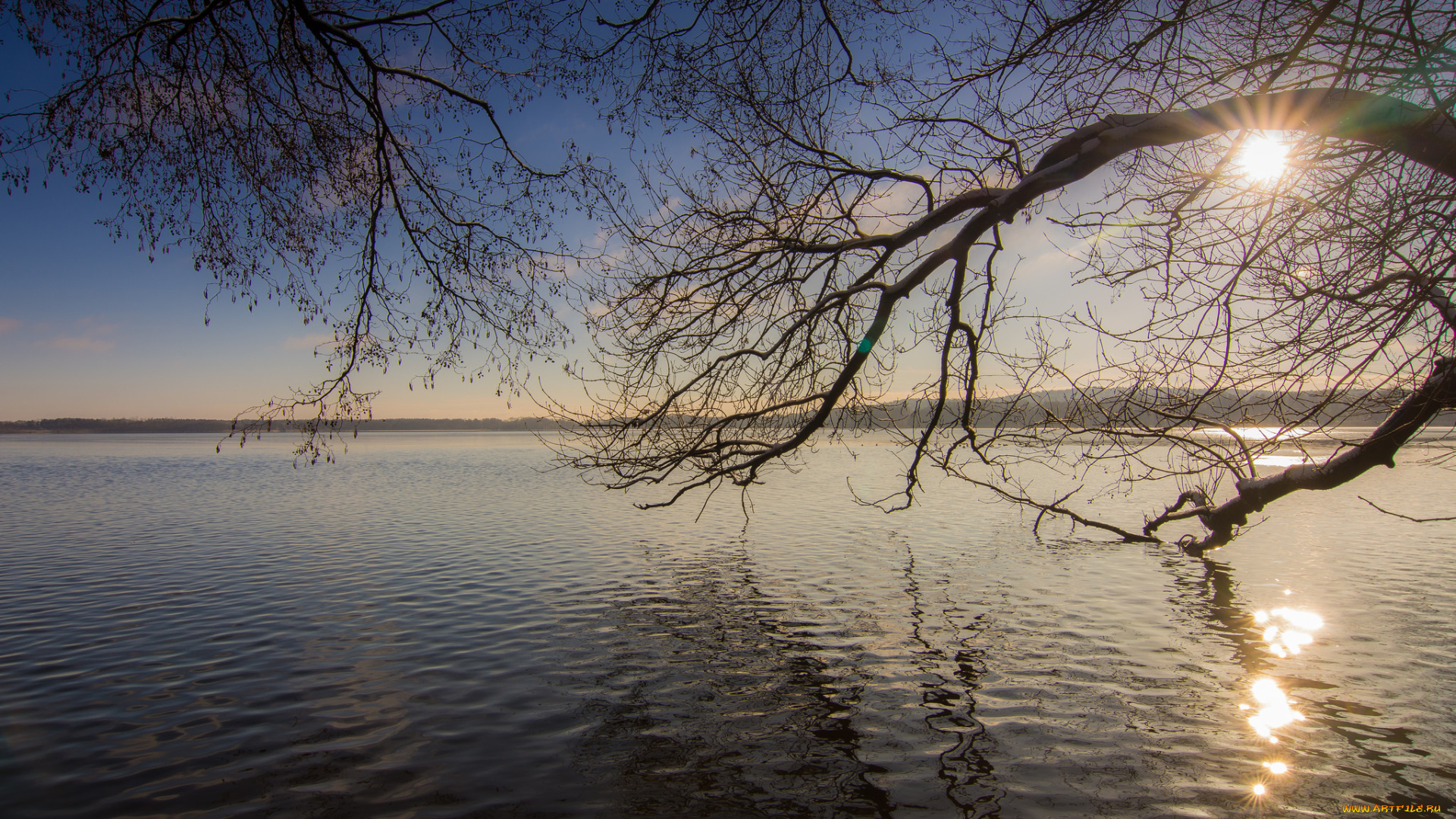 природа, реки, озера, лес, река