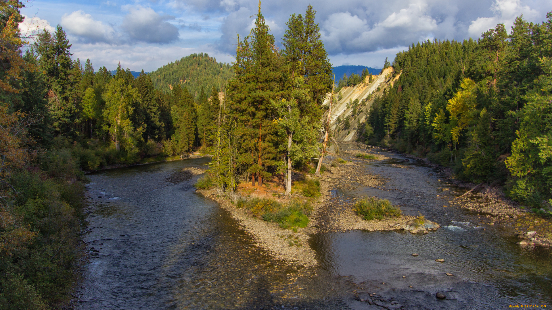 природа, реки, озера, река, лес