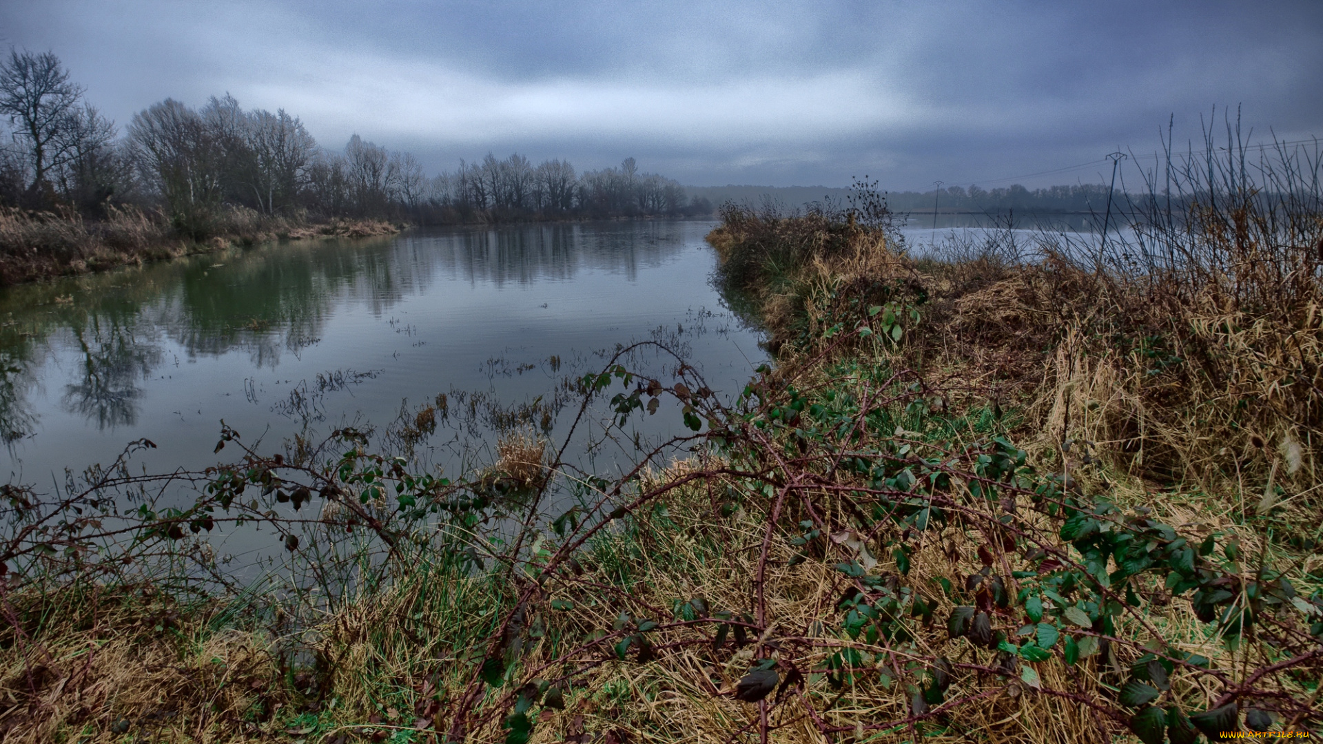 природа, реки, озера, река, лес