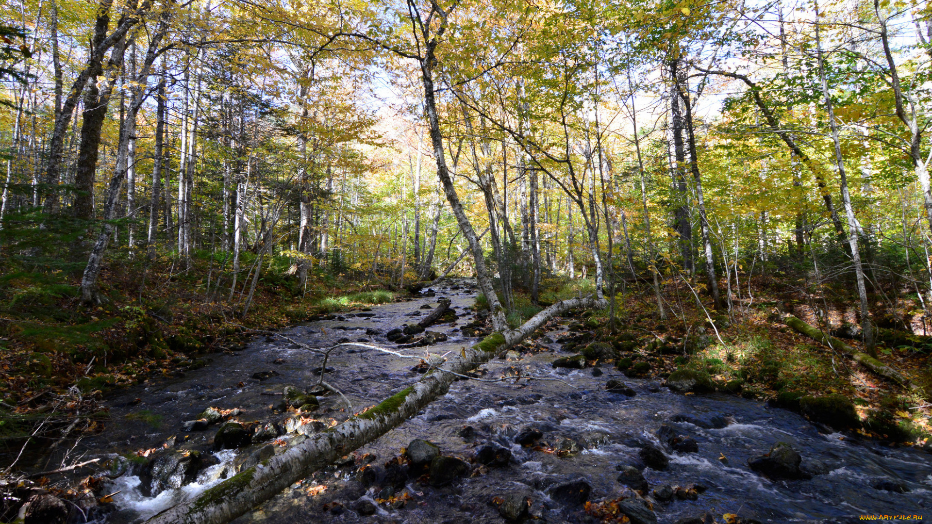 природа, реки, озера, тракт