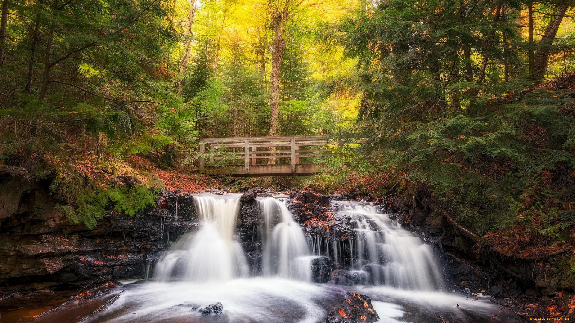 природа, водопады, лес, река
