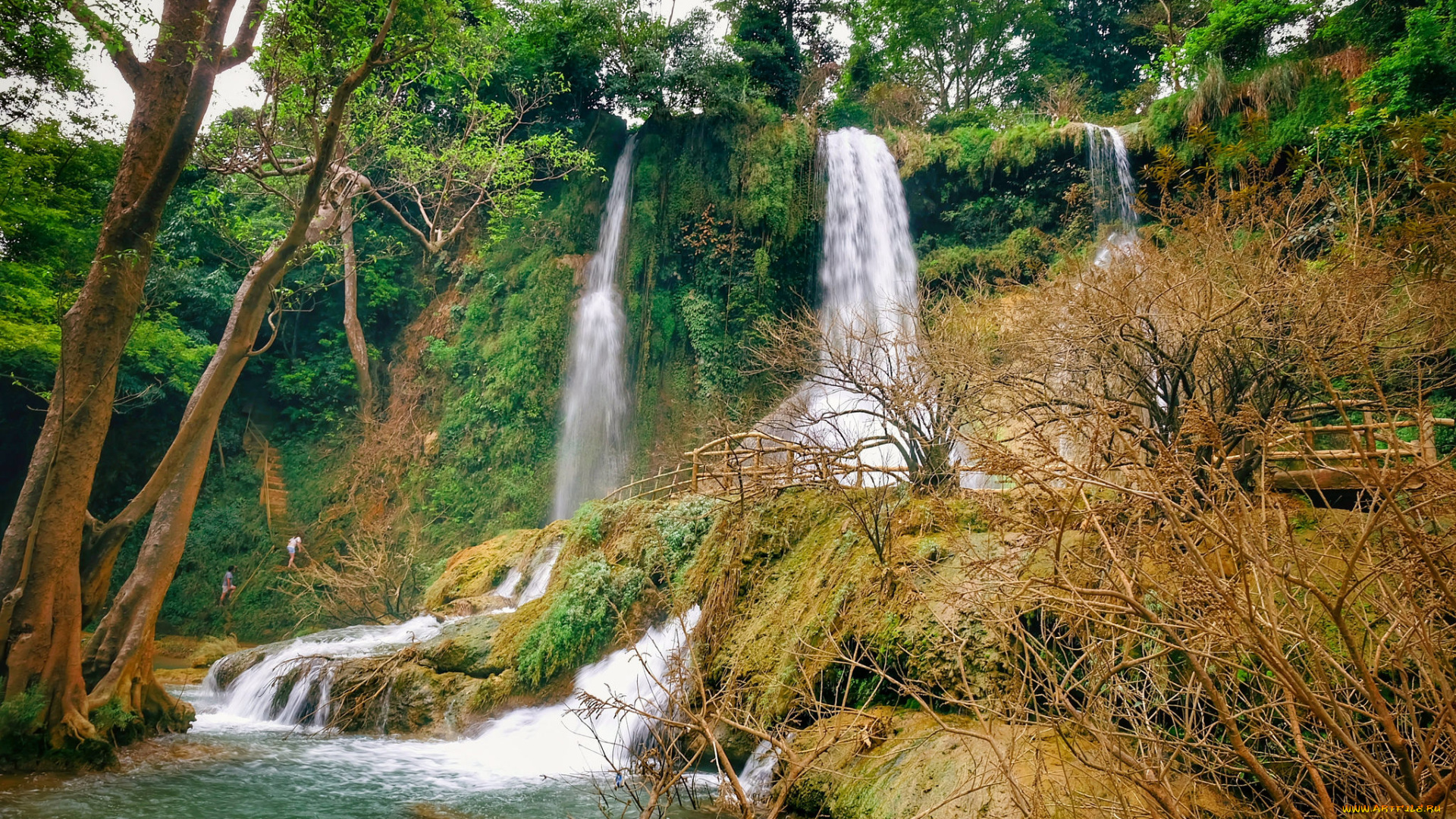 природа, водопады, лес, река, водопад