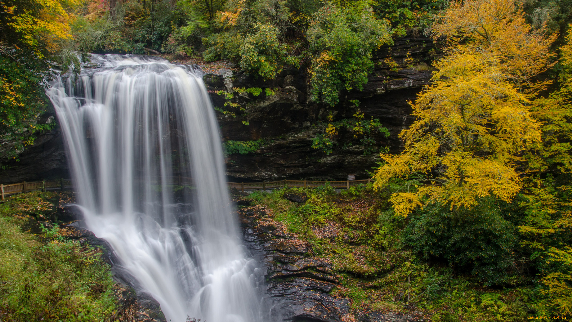 природа, водопады, водопад, река, лес