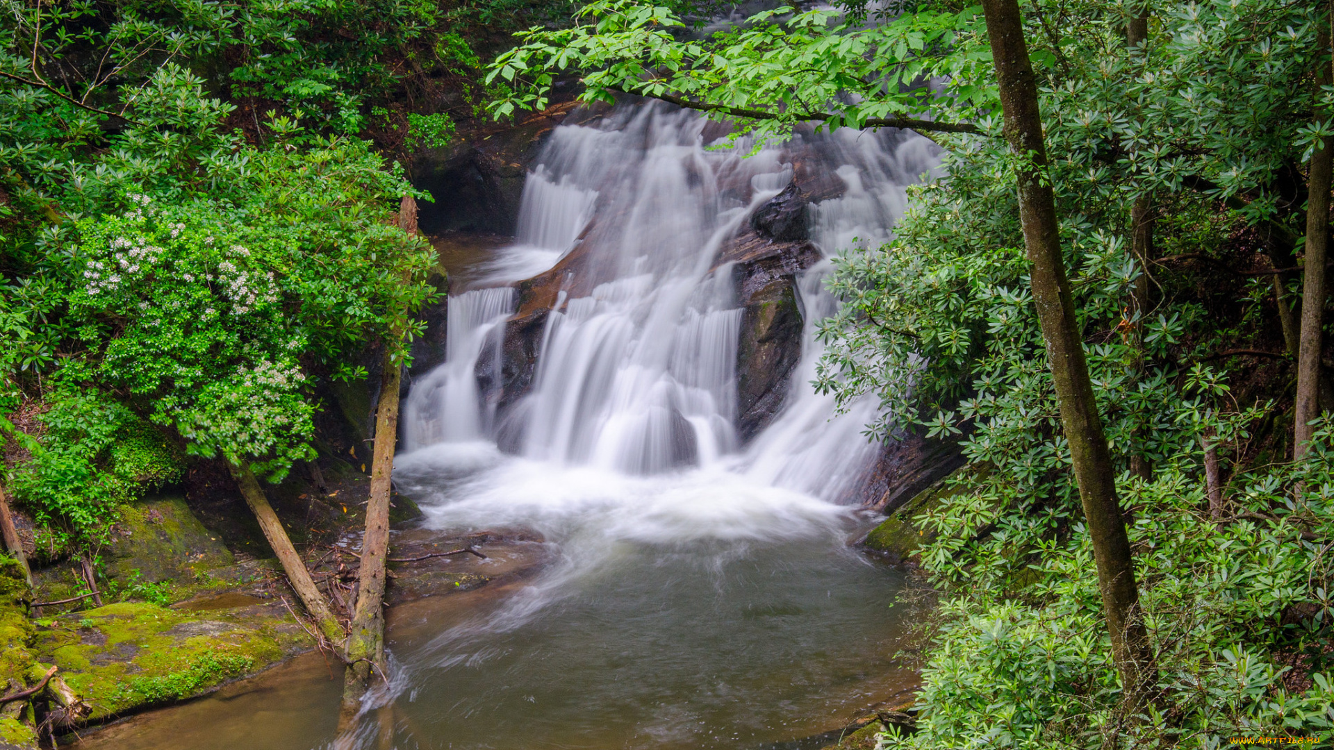 природа, водопады, водопад, река, лес