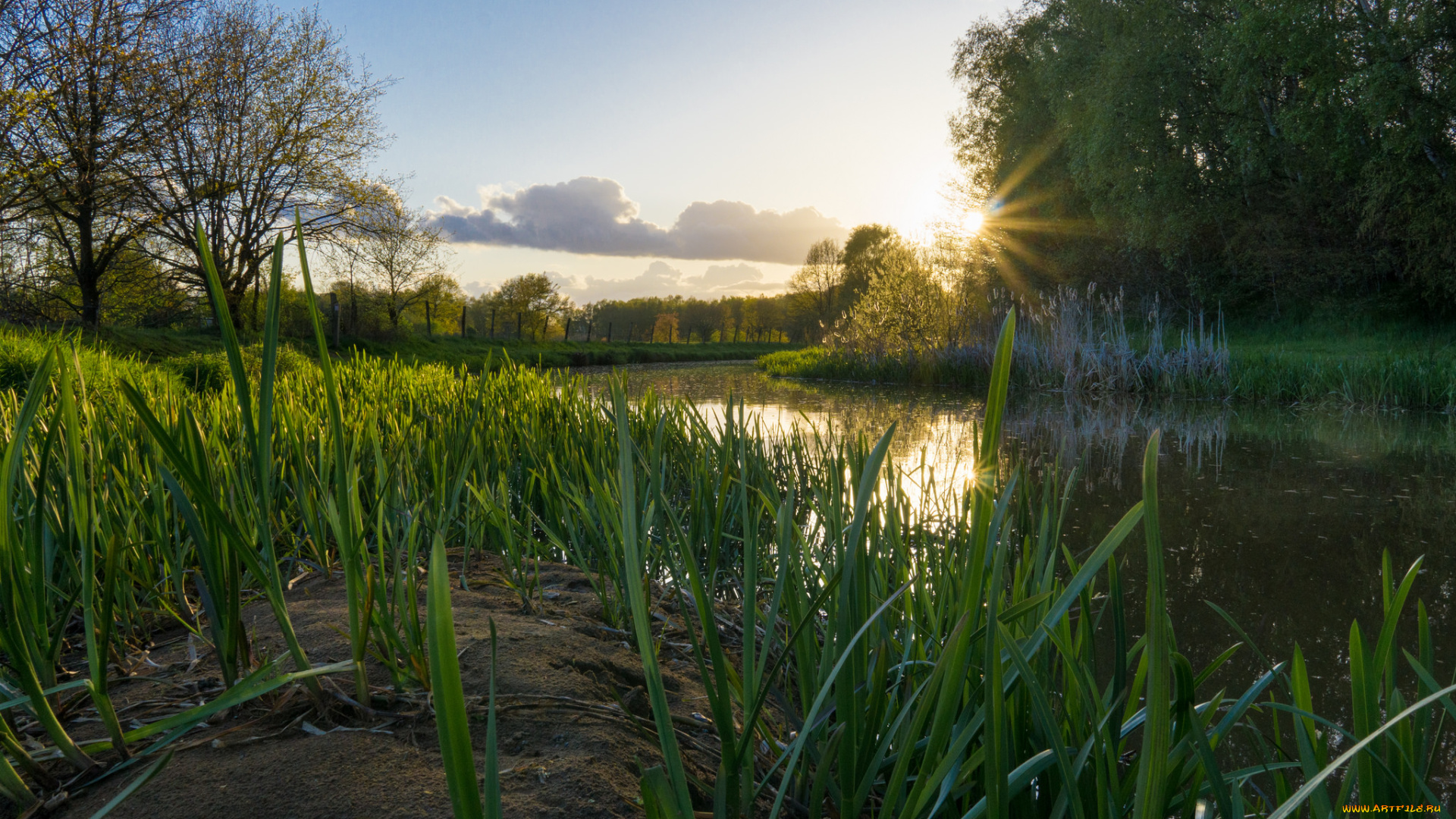 природа, восходы, закаты, рассвет