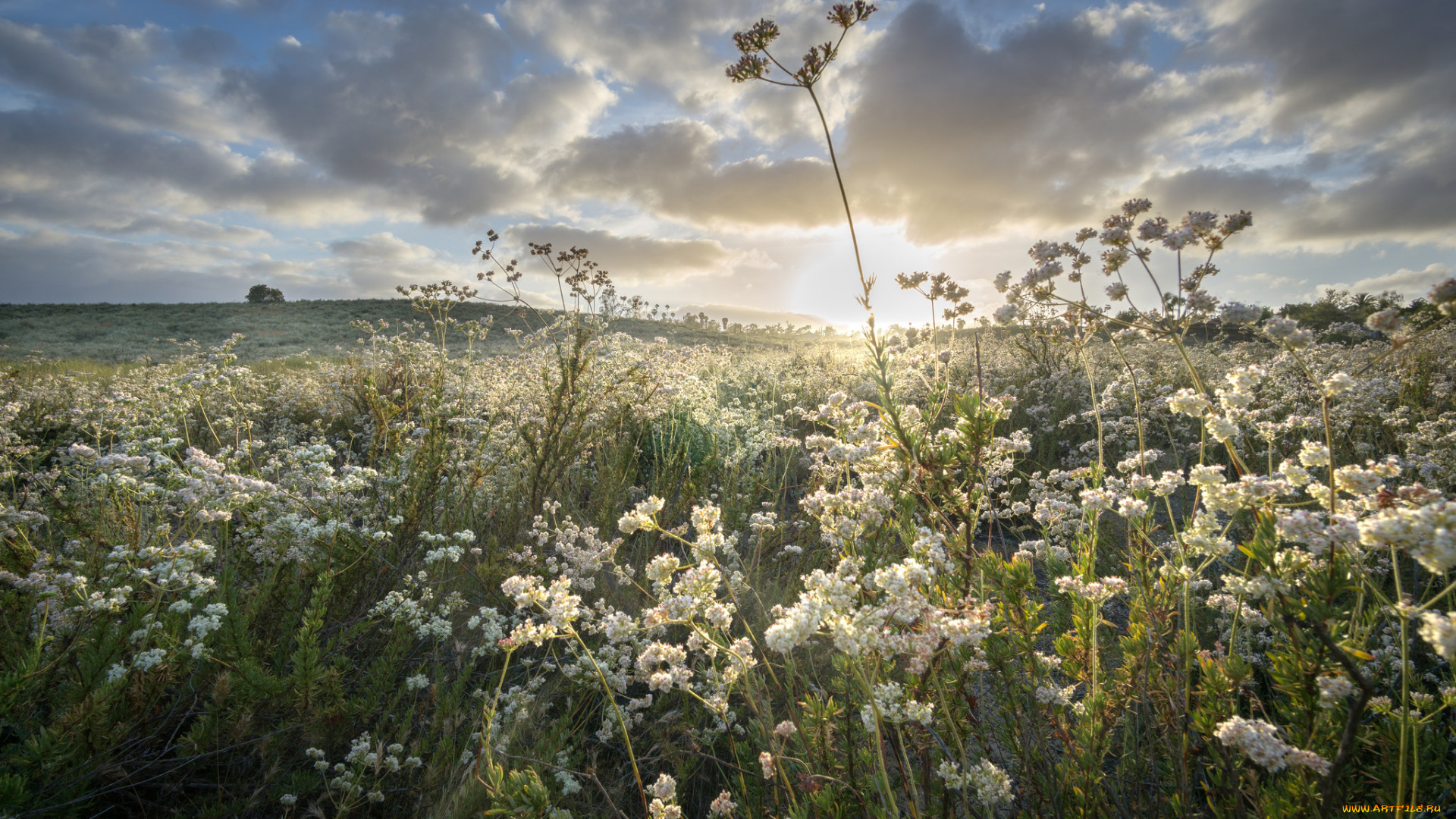 природа, восходы, закаты, рассвет