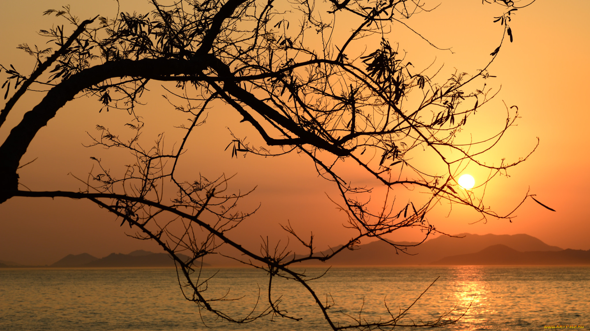 природа, восходы, закаты, рассвет