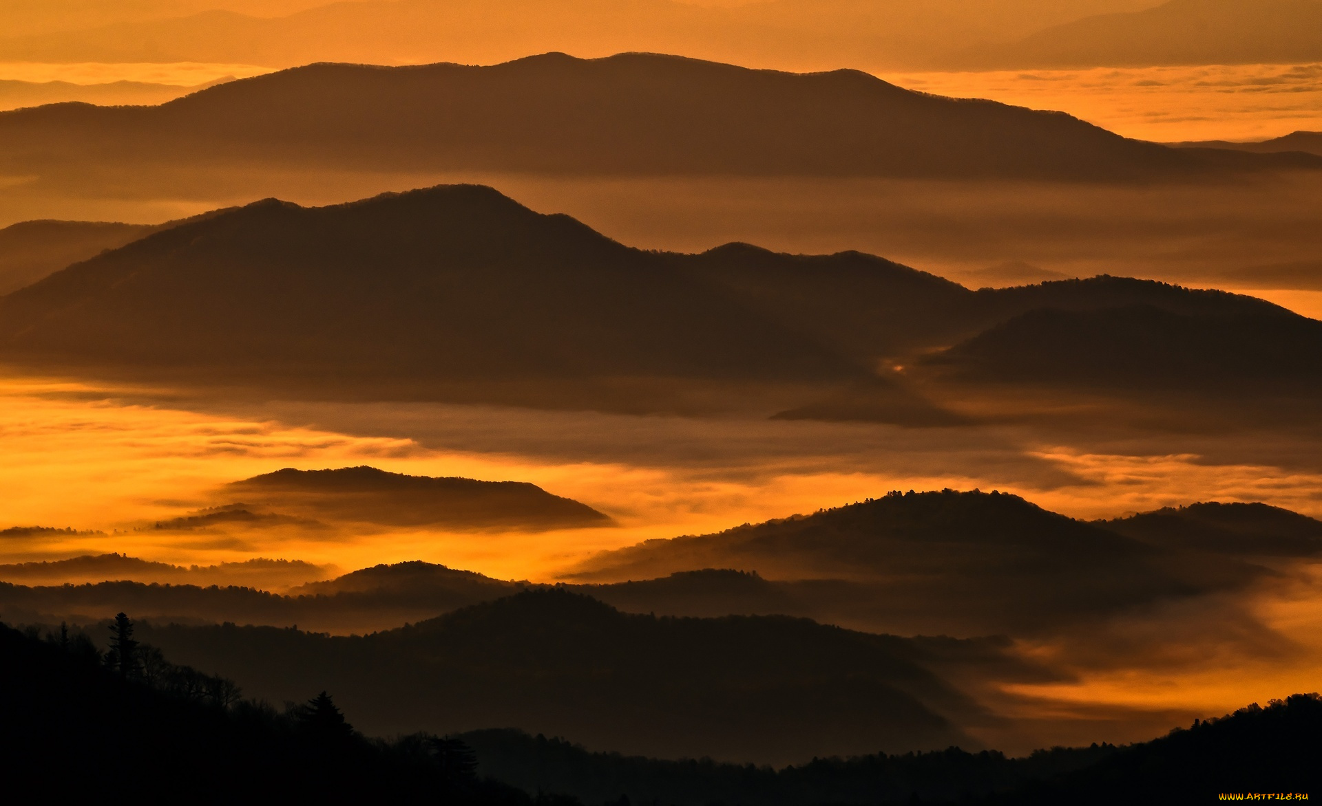 полуостров, гамова, , приморский, край, природа, горы, закат, туман, лес