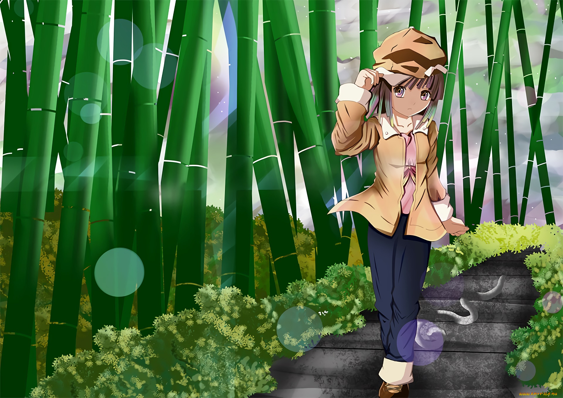 аниме, bakemonogatari, фон, взгляд, девушка