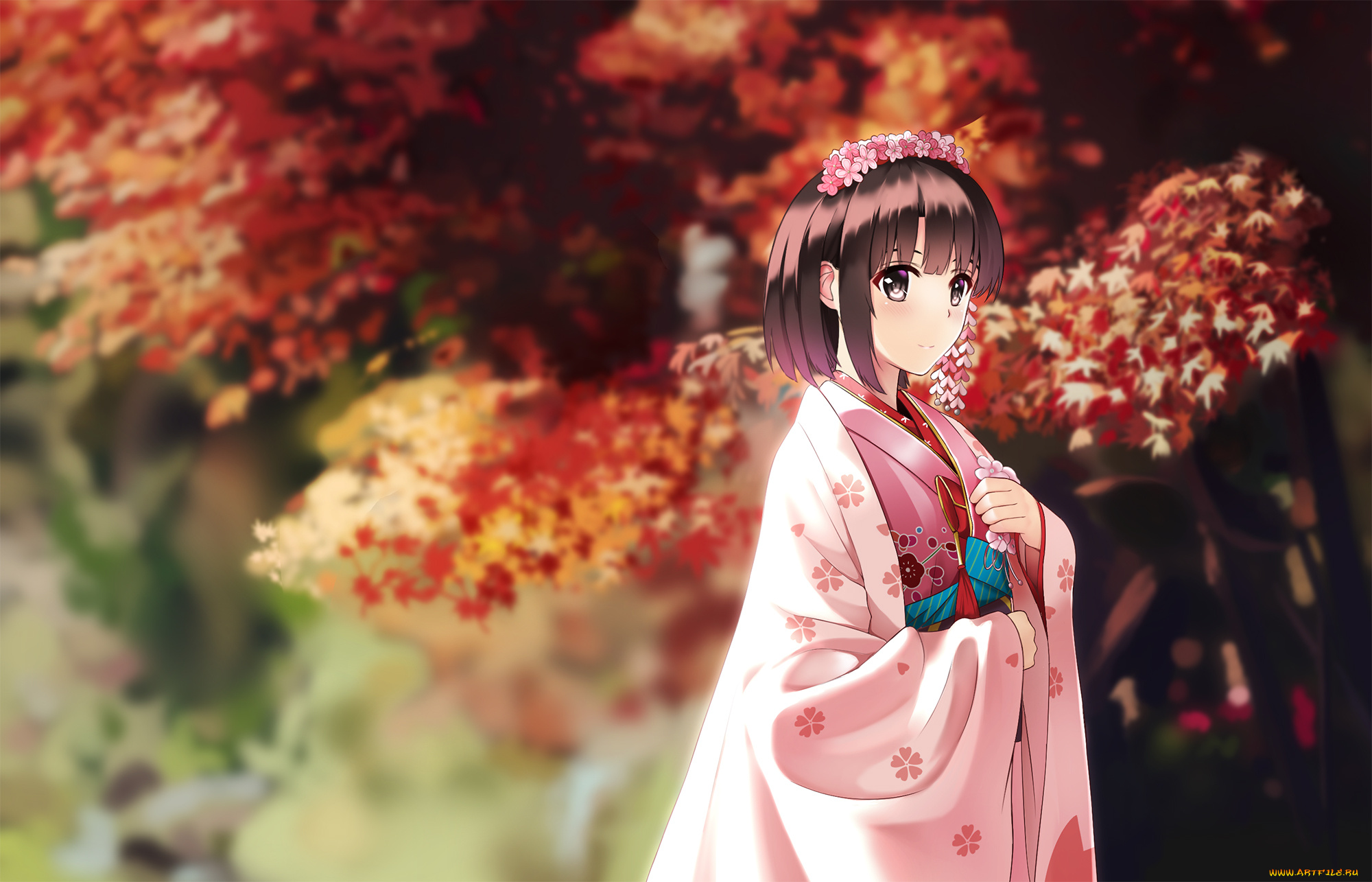 аниме, saenai, heroine, no, sodatekata, saenai, heroine, no, sodatekata