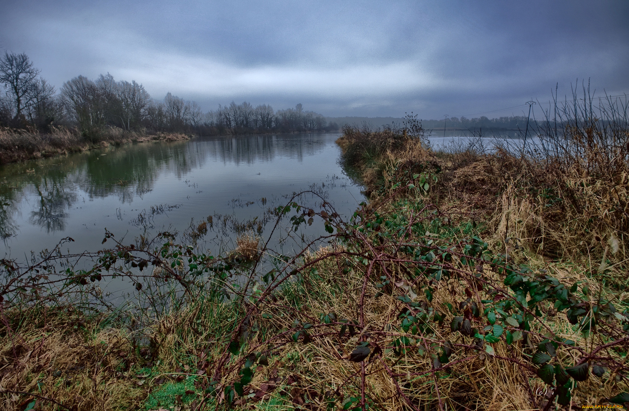 природа, реки, озера, река, лес