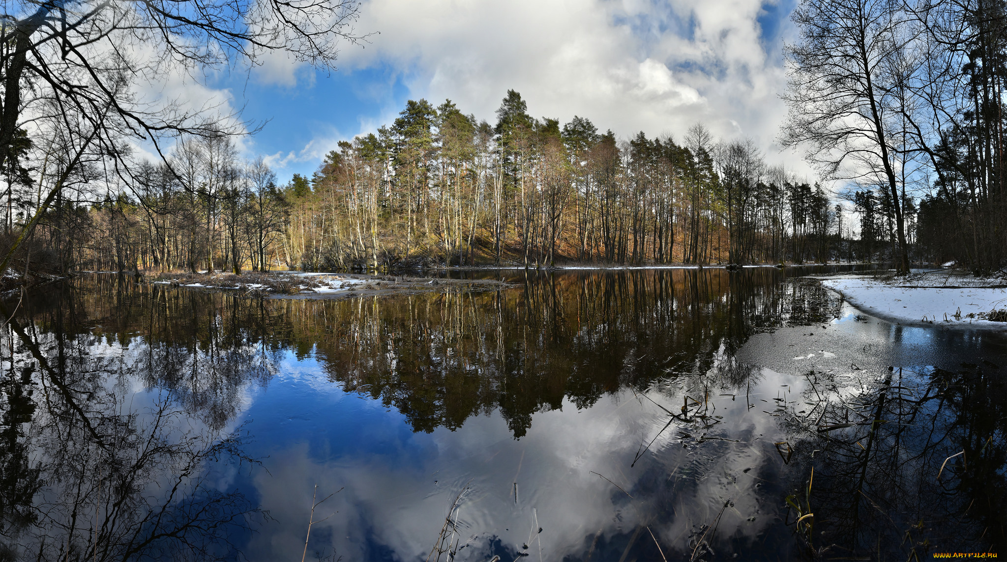 природа, реки, озера, река, лес