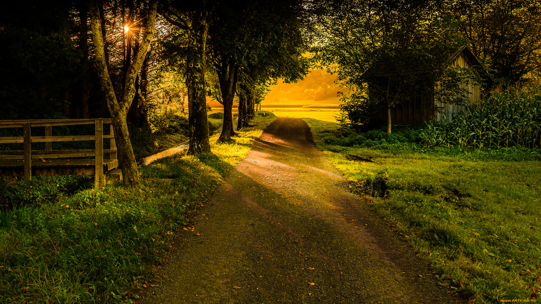 природа, дороги, тракт