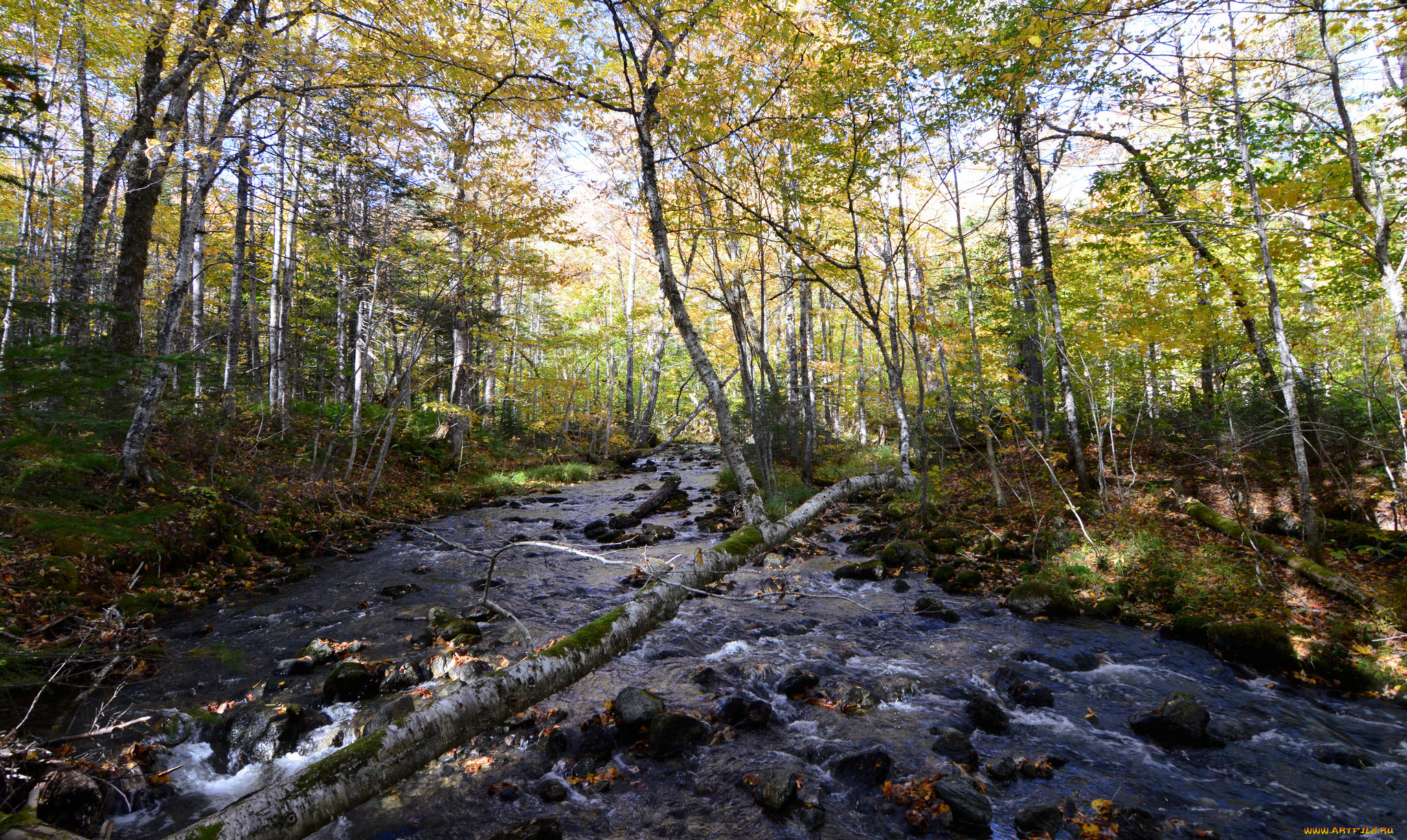 природа, реки, озера, тракт