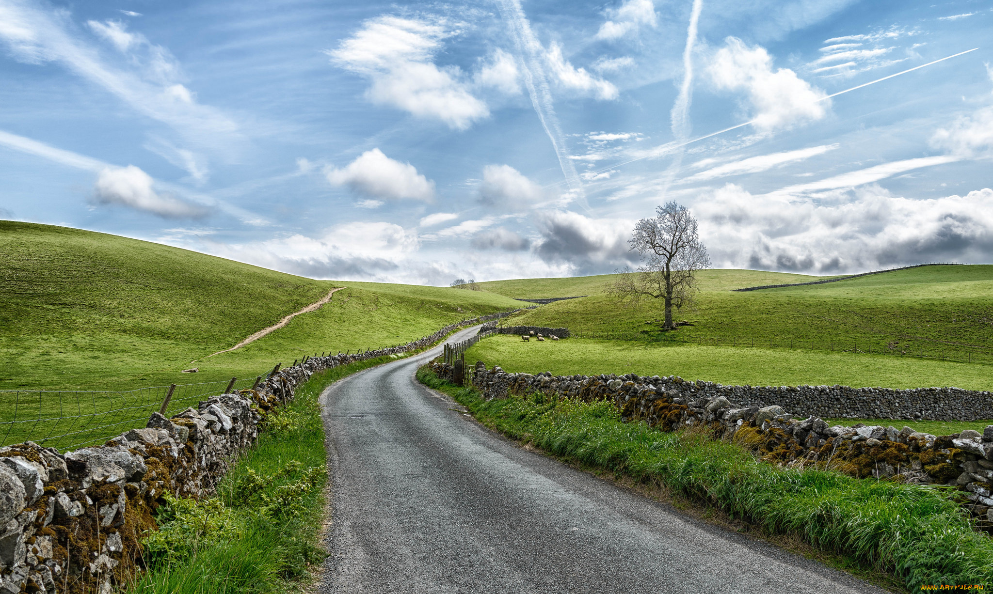 природа, дороги, тракт