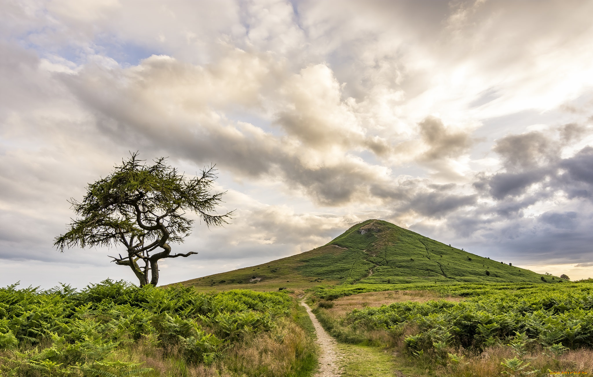 природа, дороги, тракт