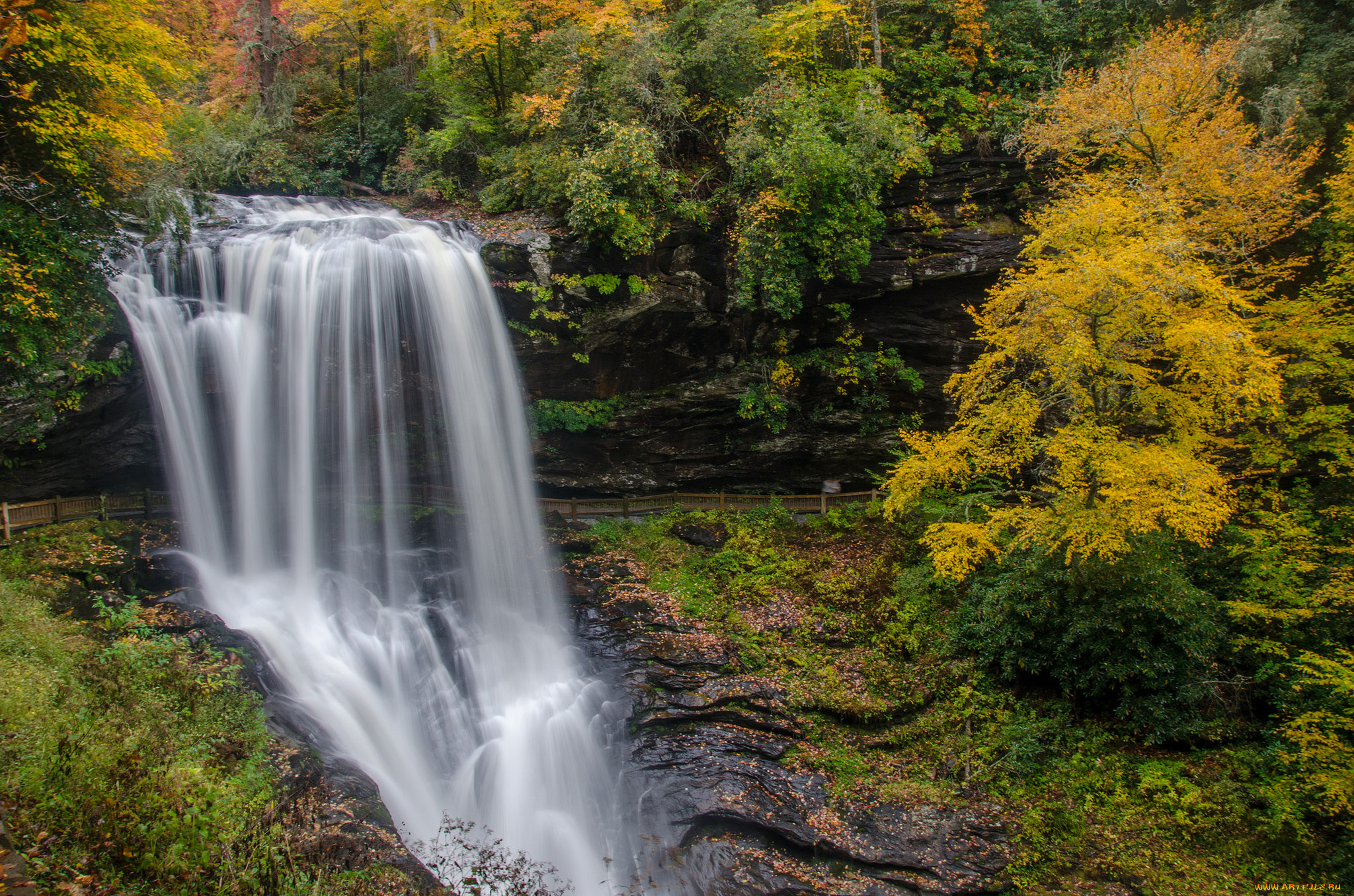 природа, водопады, водопад, река, лес