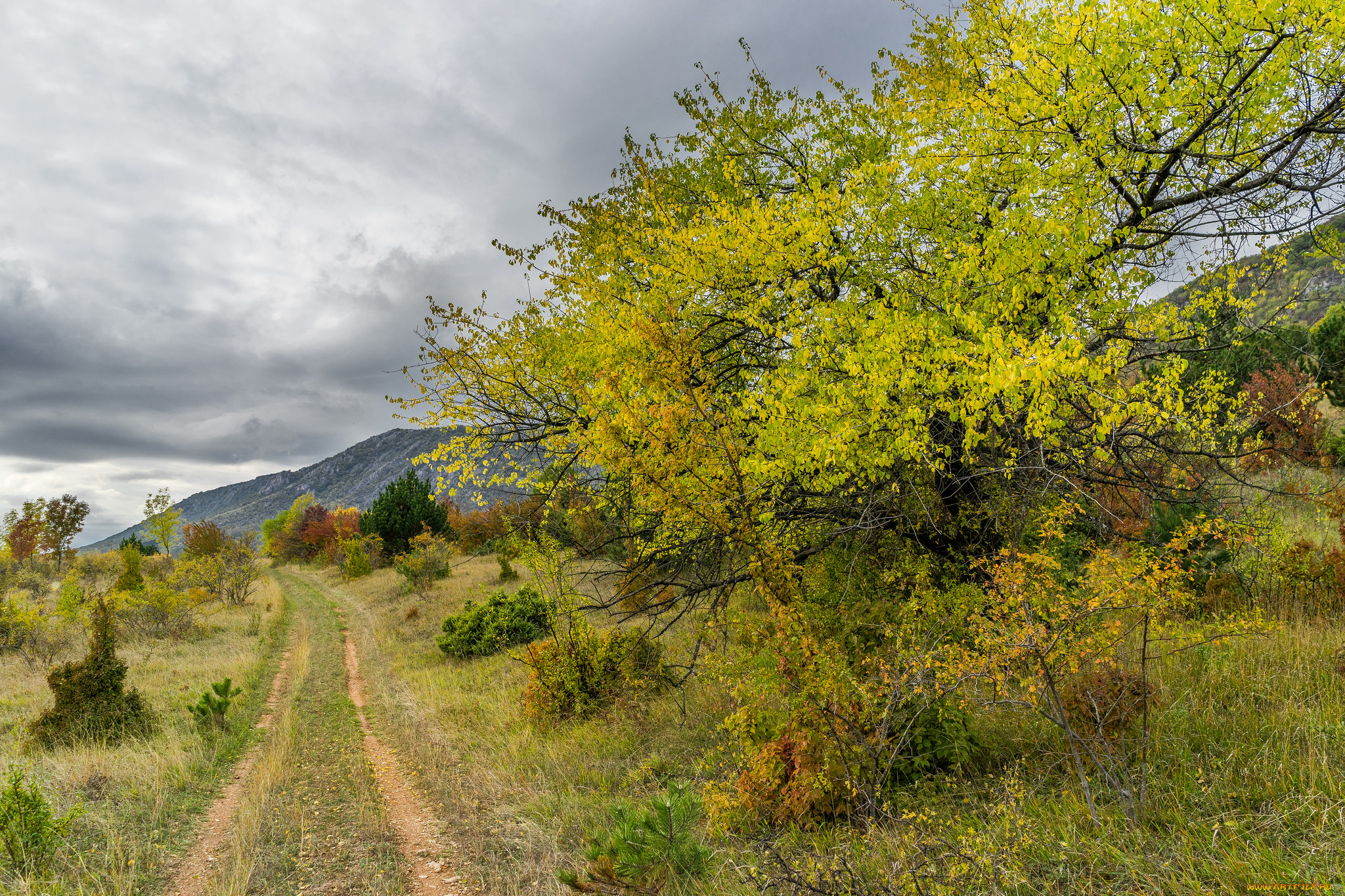 природа, дороги, тракт
