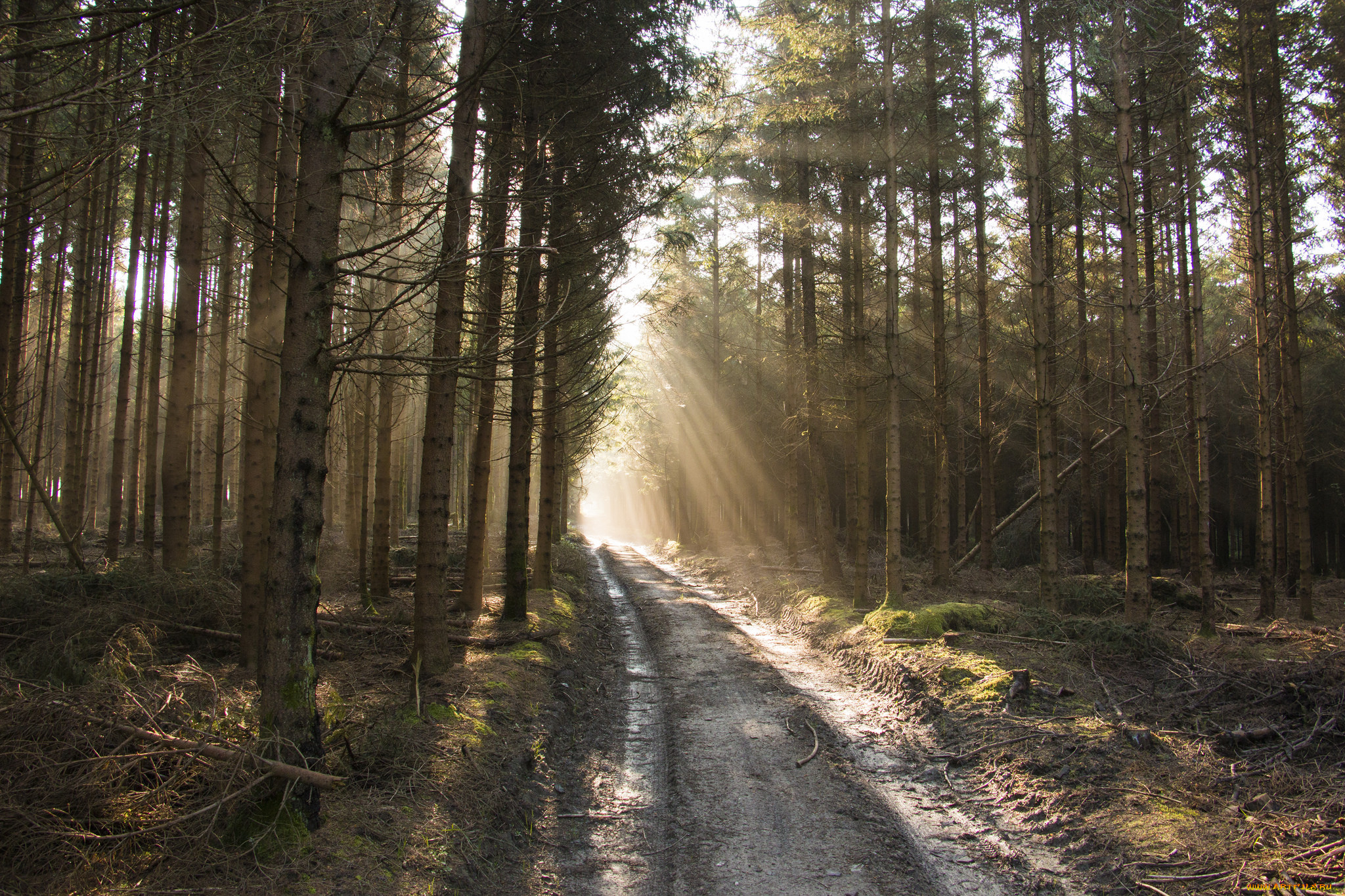 природа, дороги, тракт