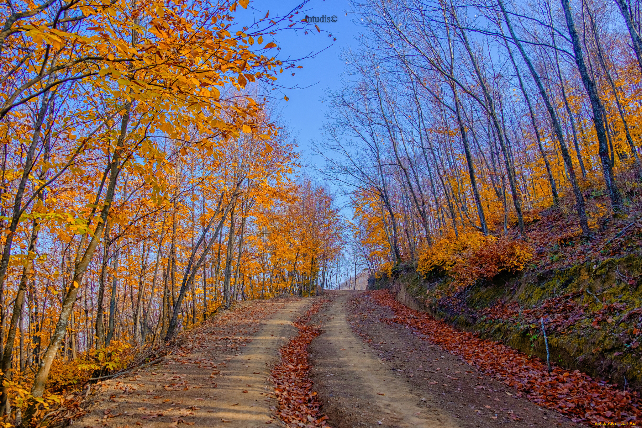 природа, дороги, тракт