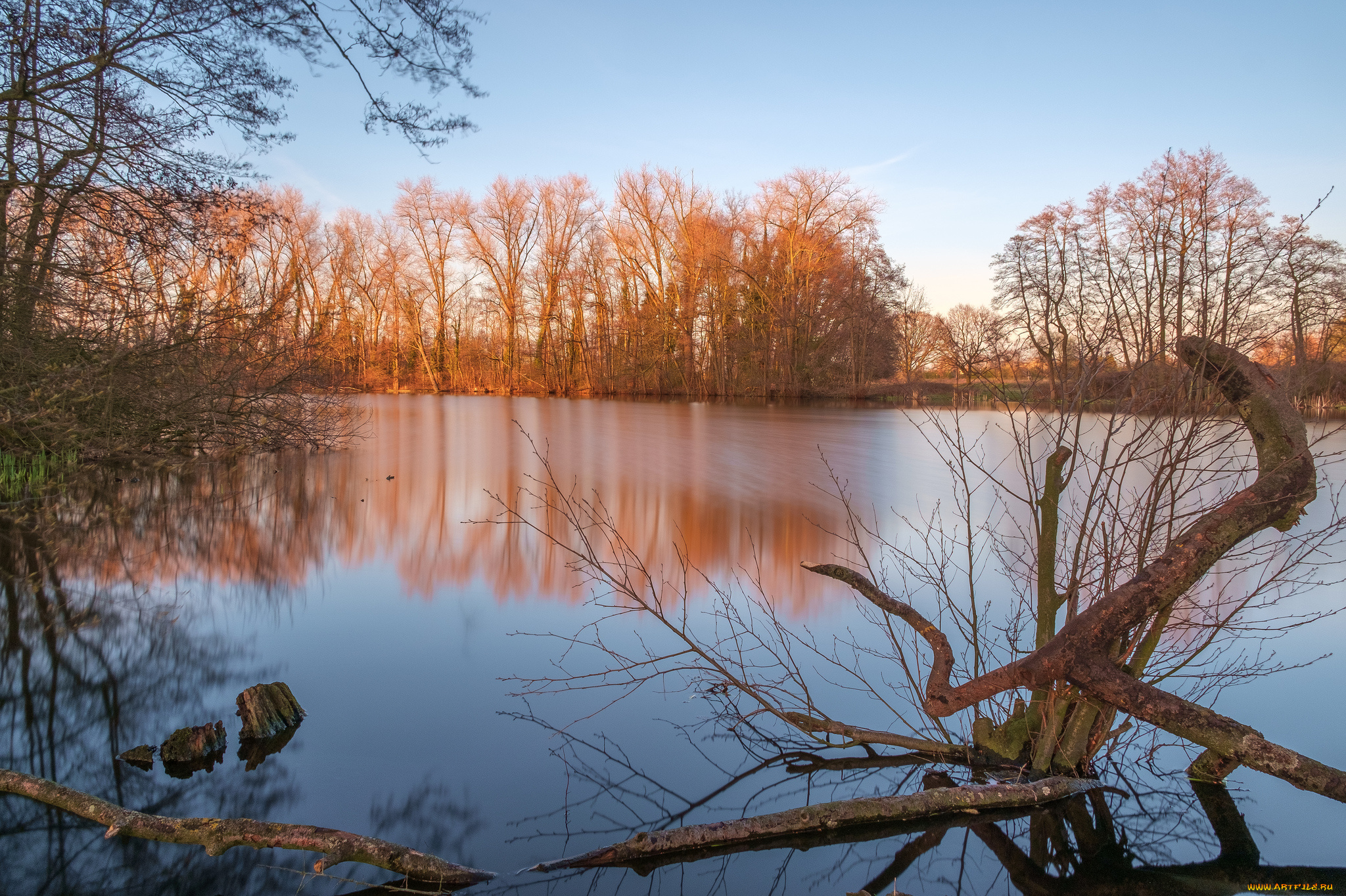 природа, реки, озера, лес, река