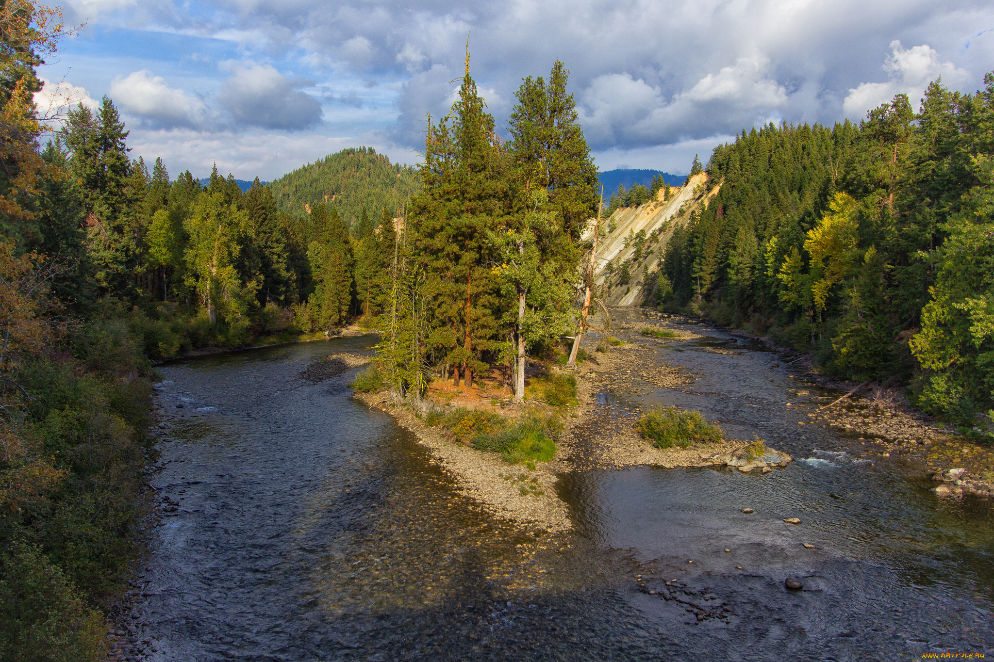 природа, реки, озера, река, лес