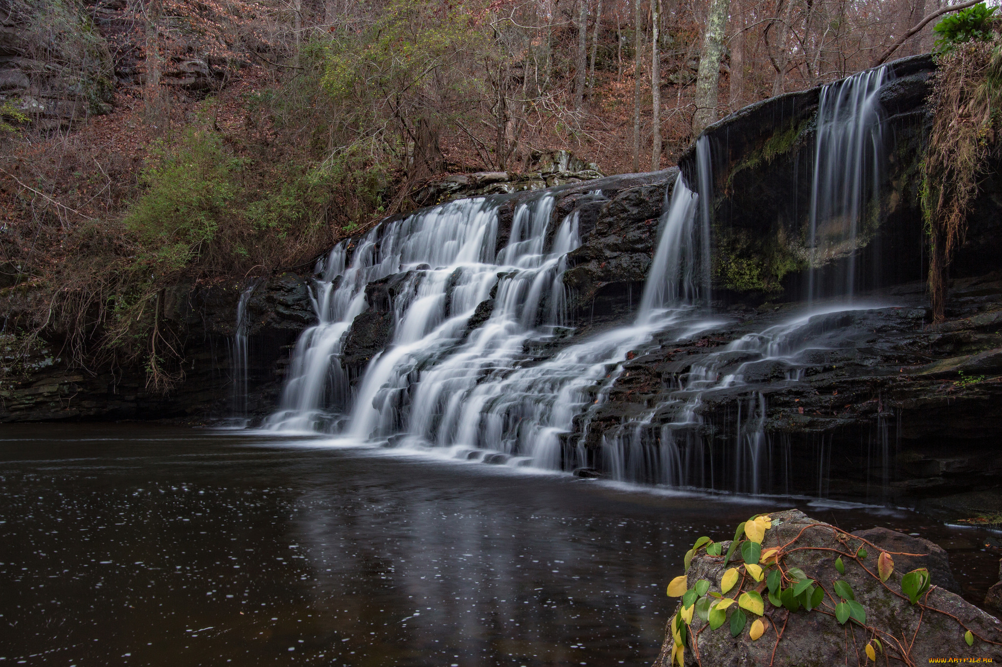 природа, водопады, лес, река, водопад