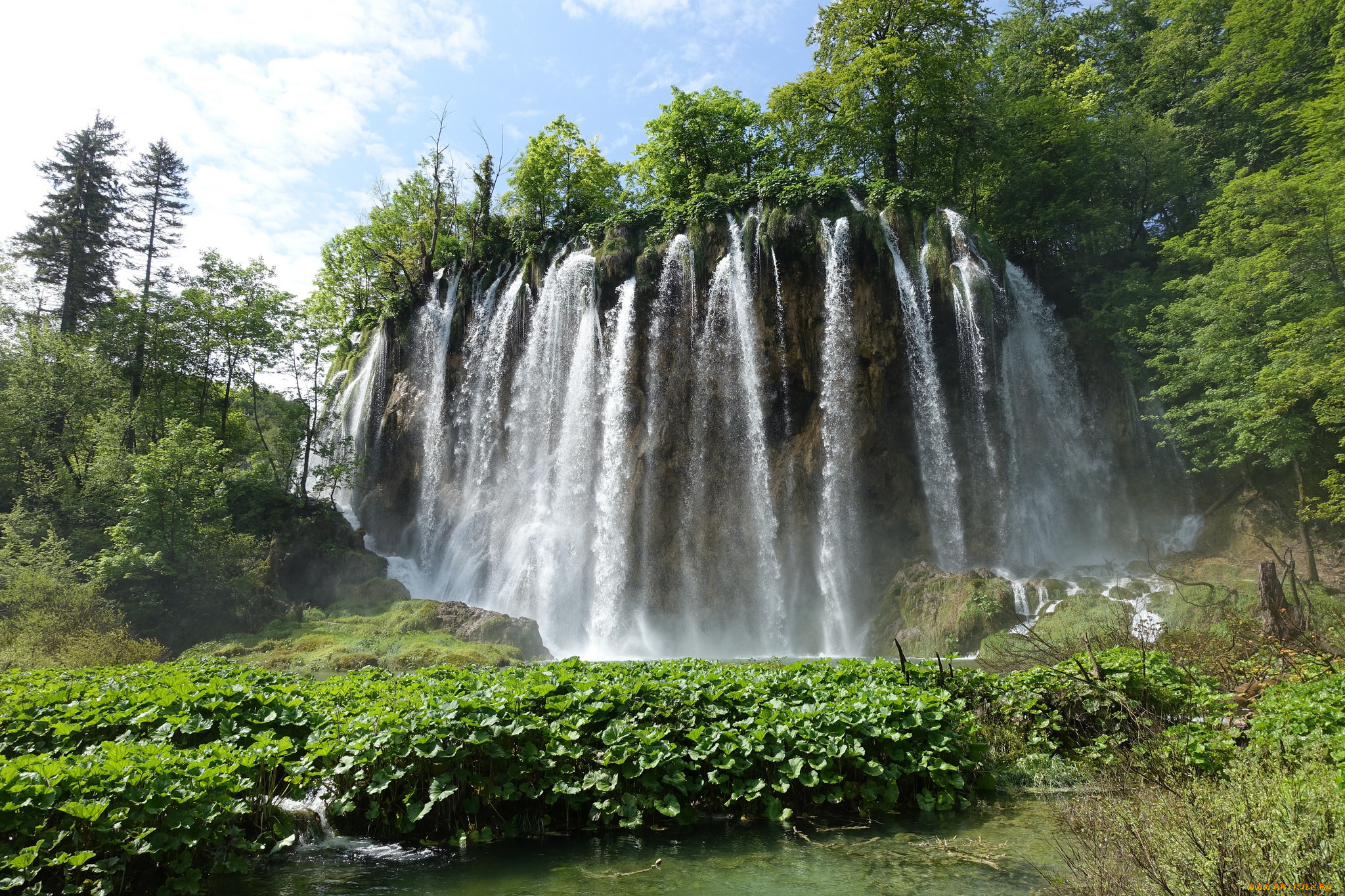 природа, водопады, водопад, река, лес