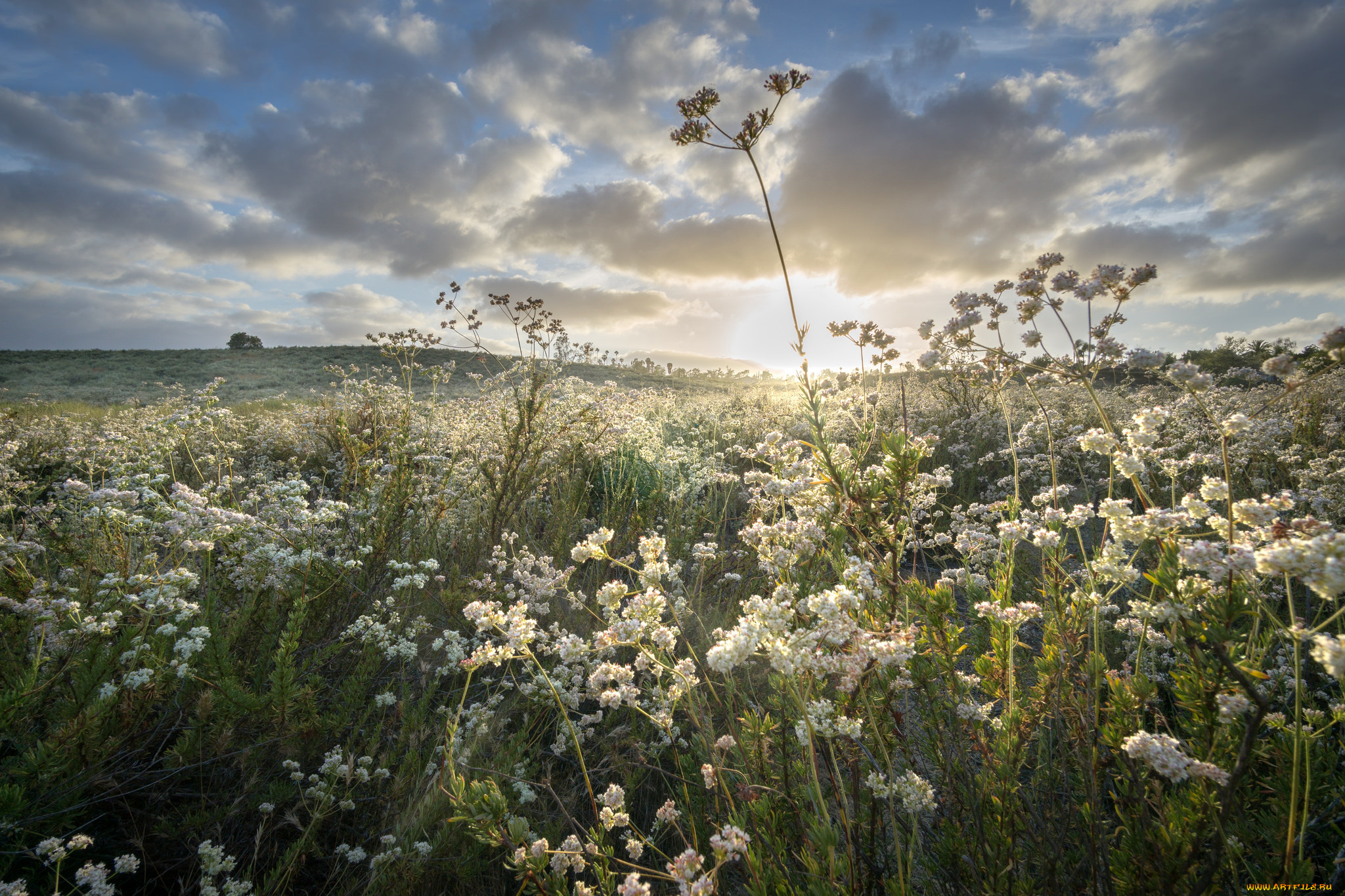 природа, восходы, закаты, рассвет
