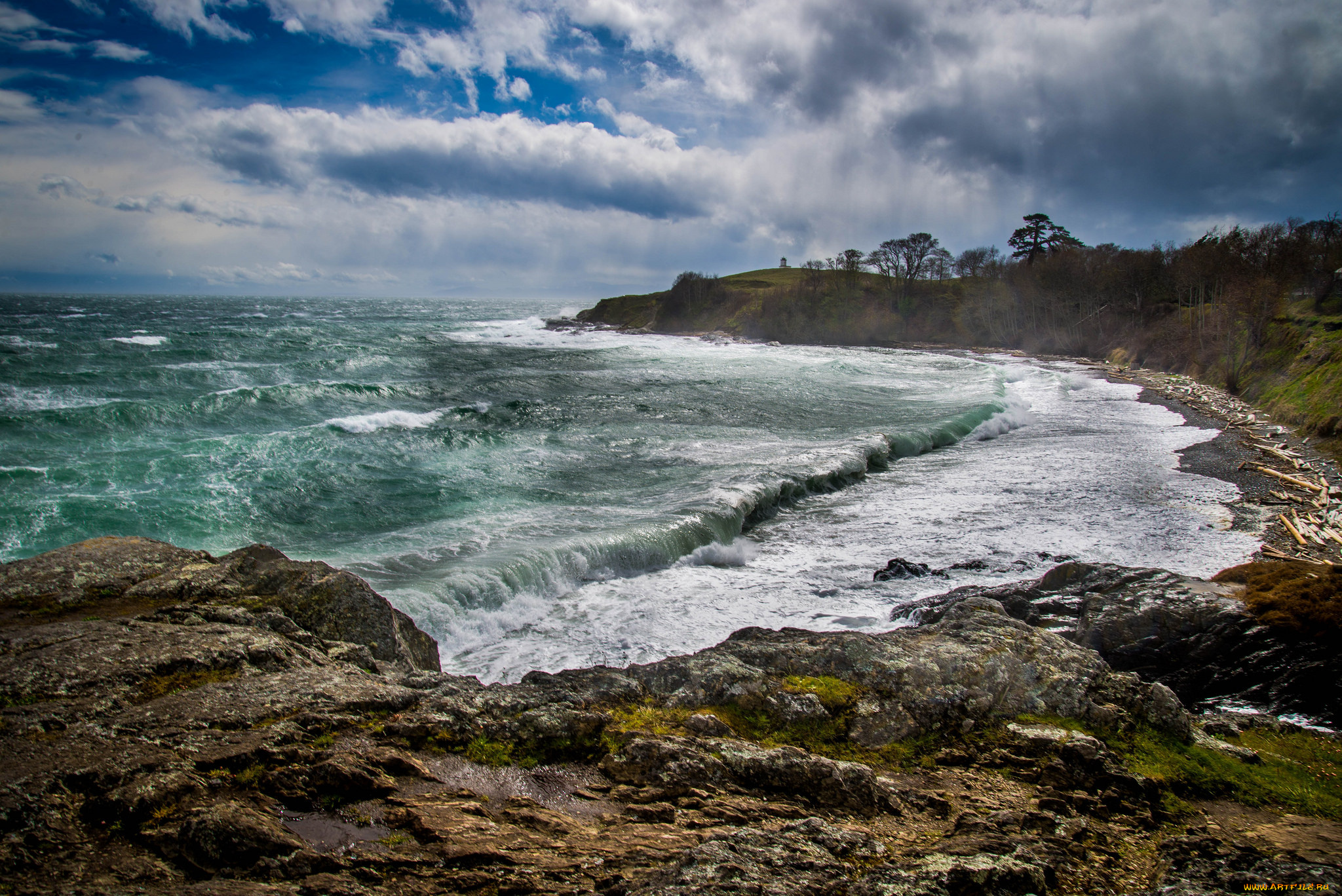 природа, побережье, море, берег