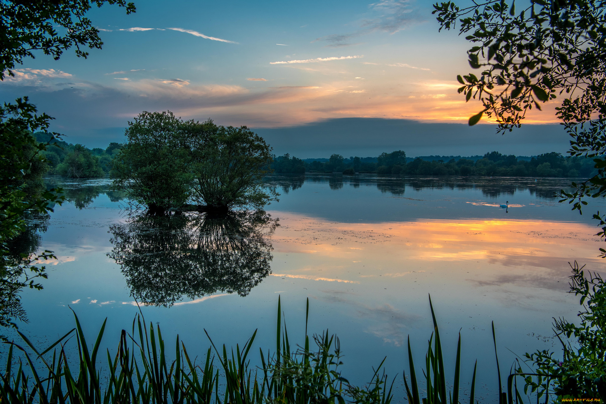 природа, реки, озера, лес, река