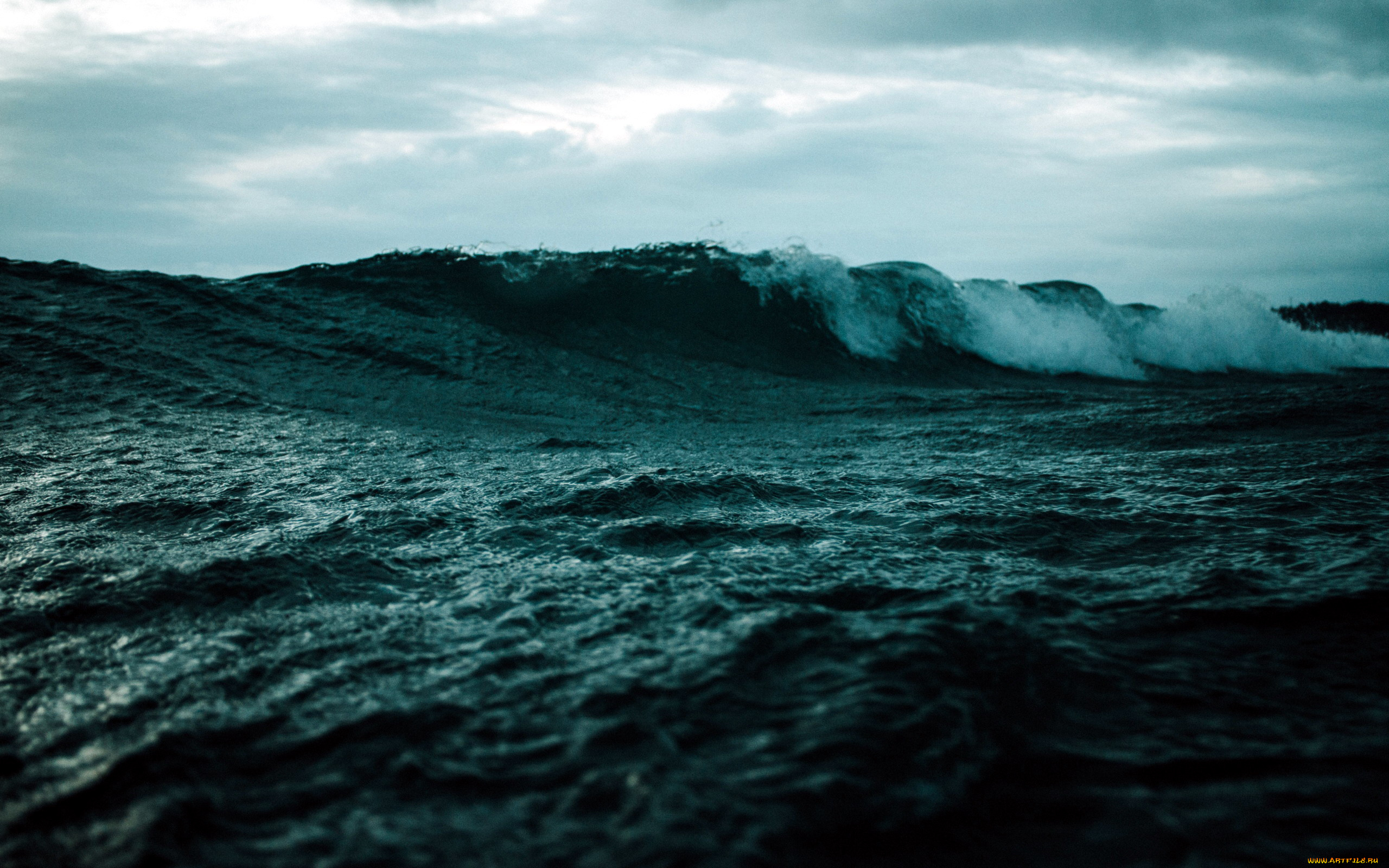 природа, моря, океаны, вода, волна