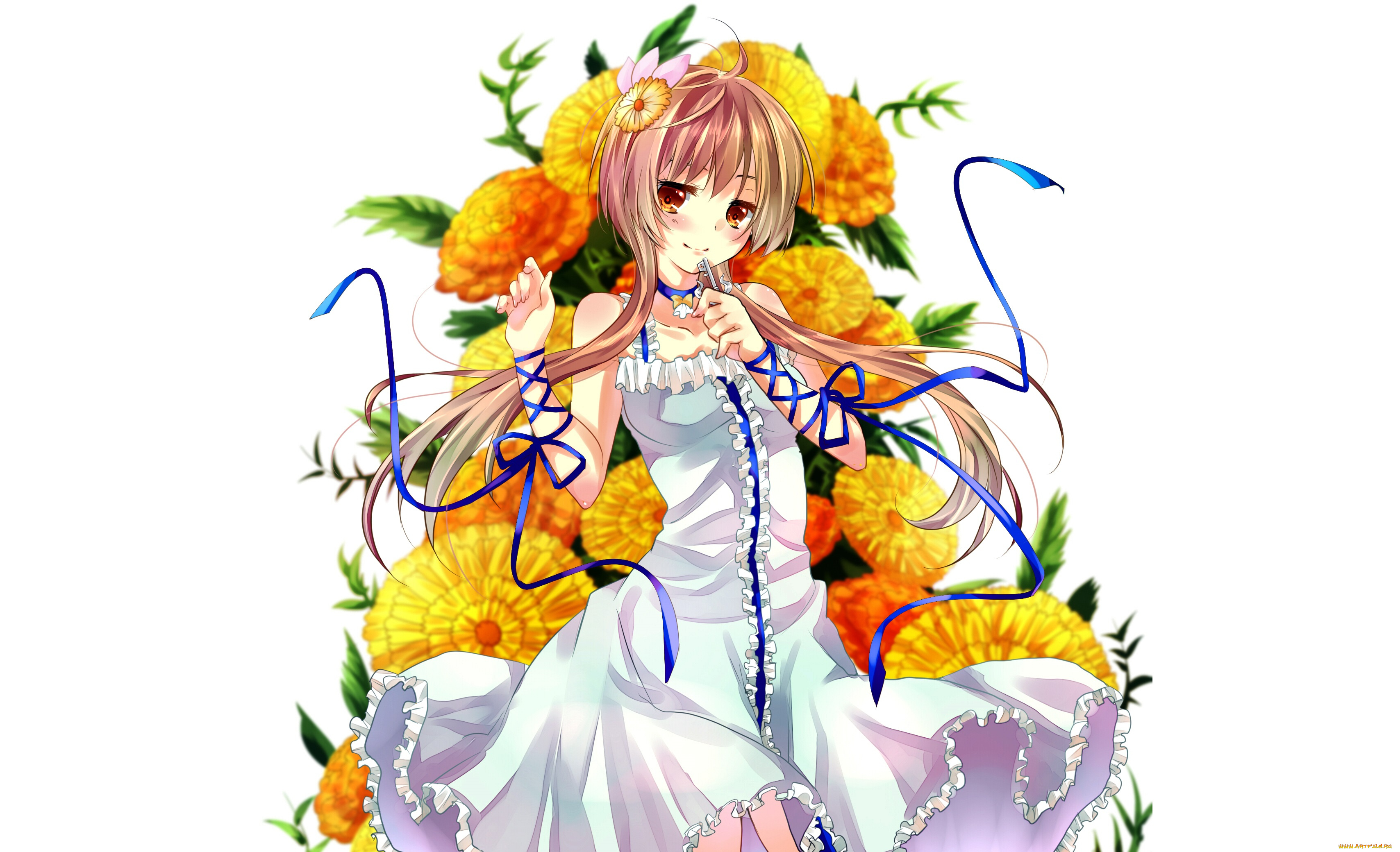 аниме, nisekoi, девушка