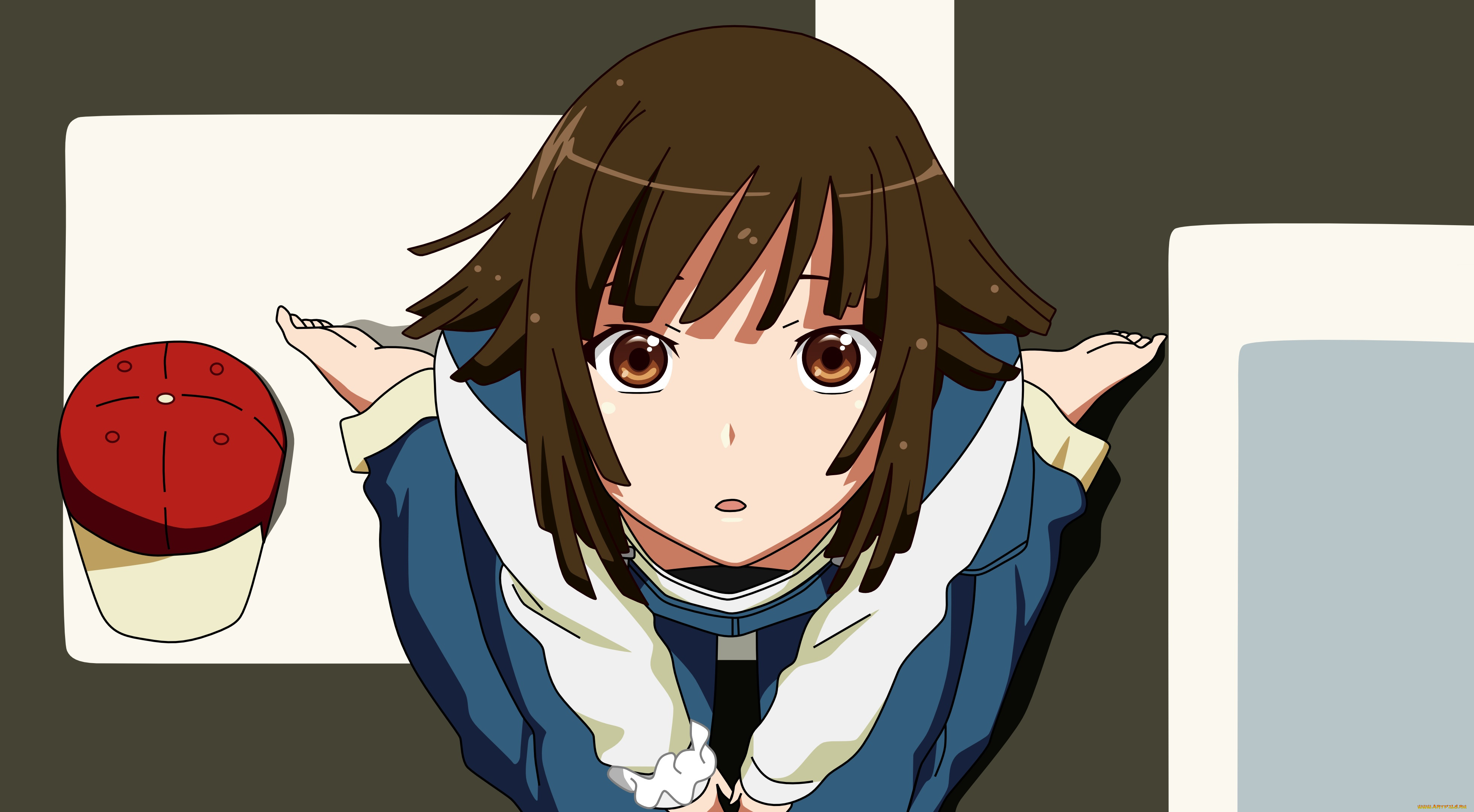 аниме, bakemonogatari, фон, взгляд, девушка