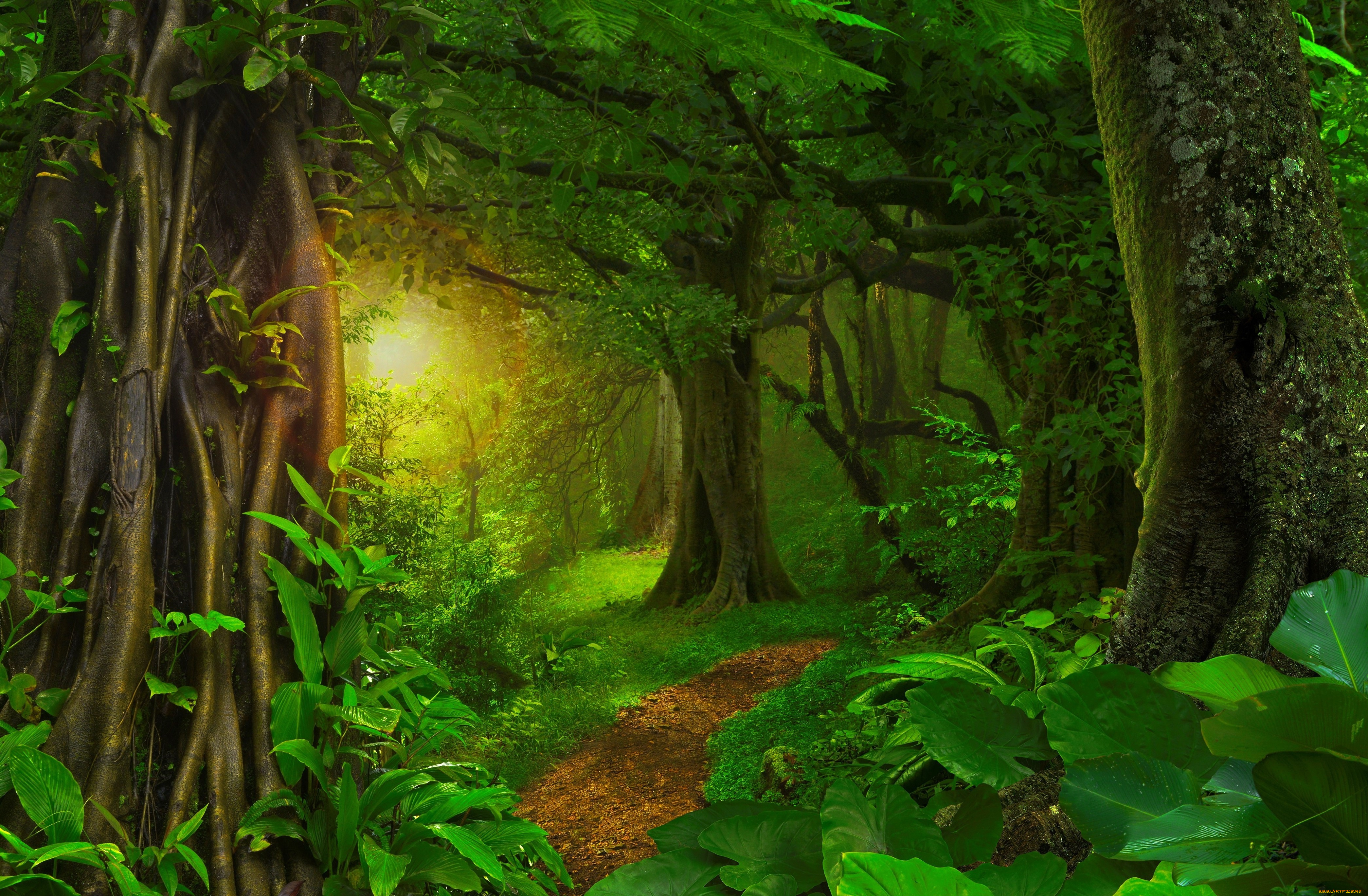 природа, лес