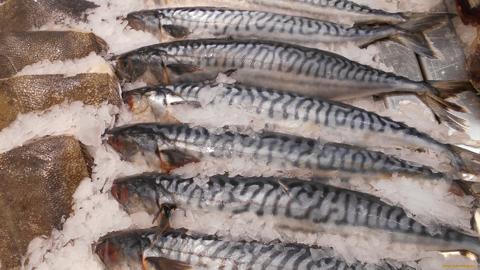 еда, рыба, , морепродукты, , суши, , роллы